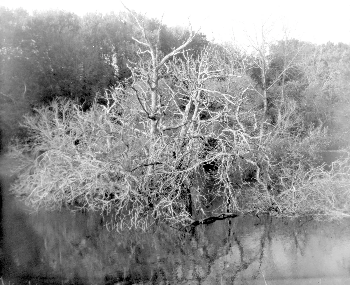 DSC00441.jpeg