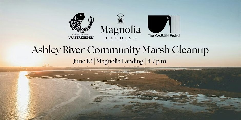 Ashley River Community Marsh Cleanup