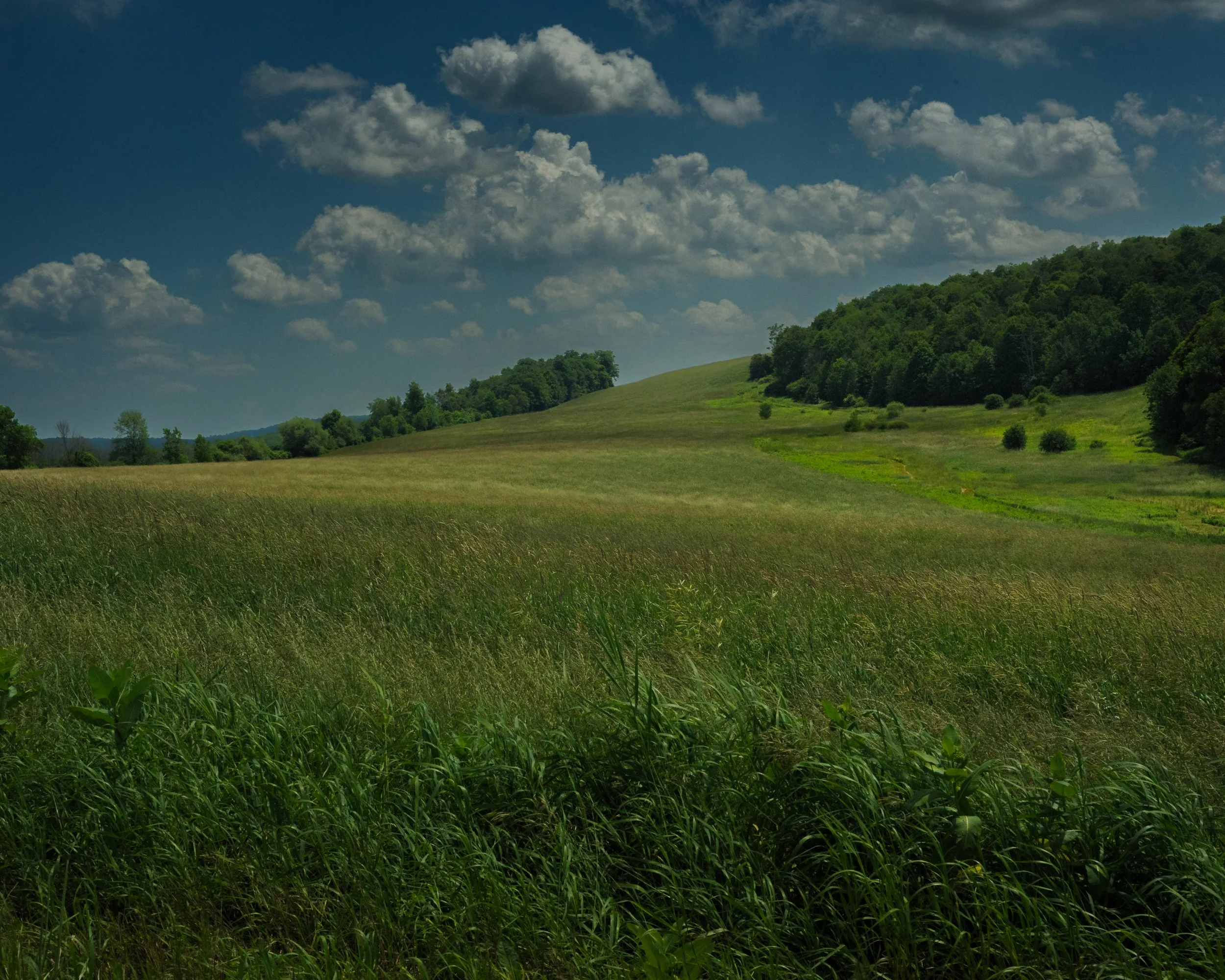 New York Hay Field_DSC9808