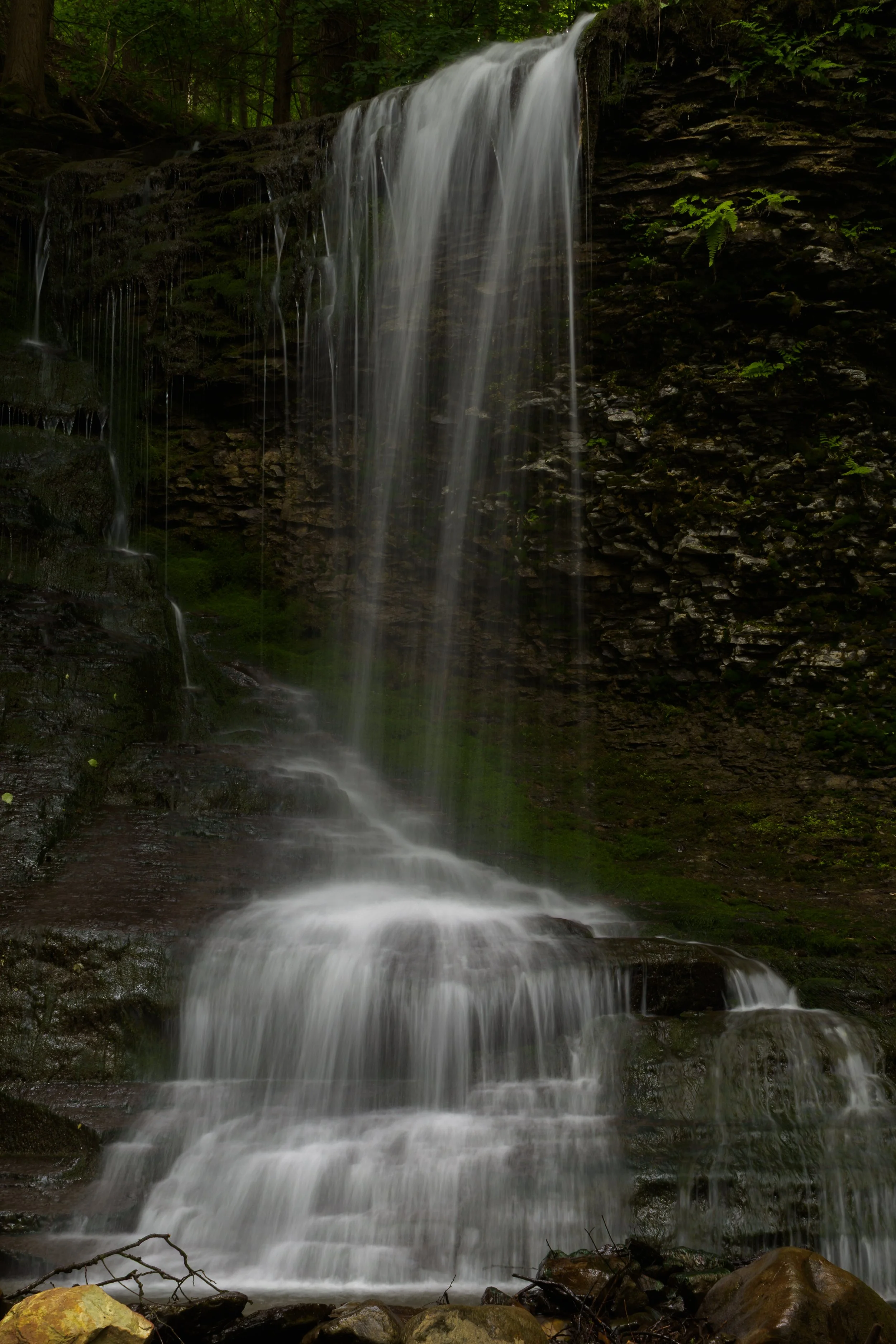 Bucktail Falls_DSC9691