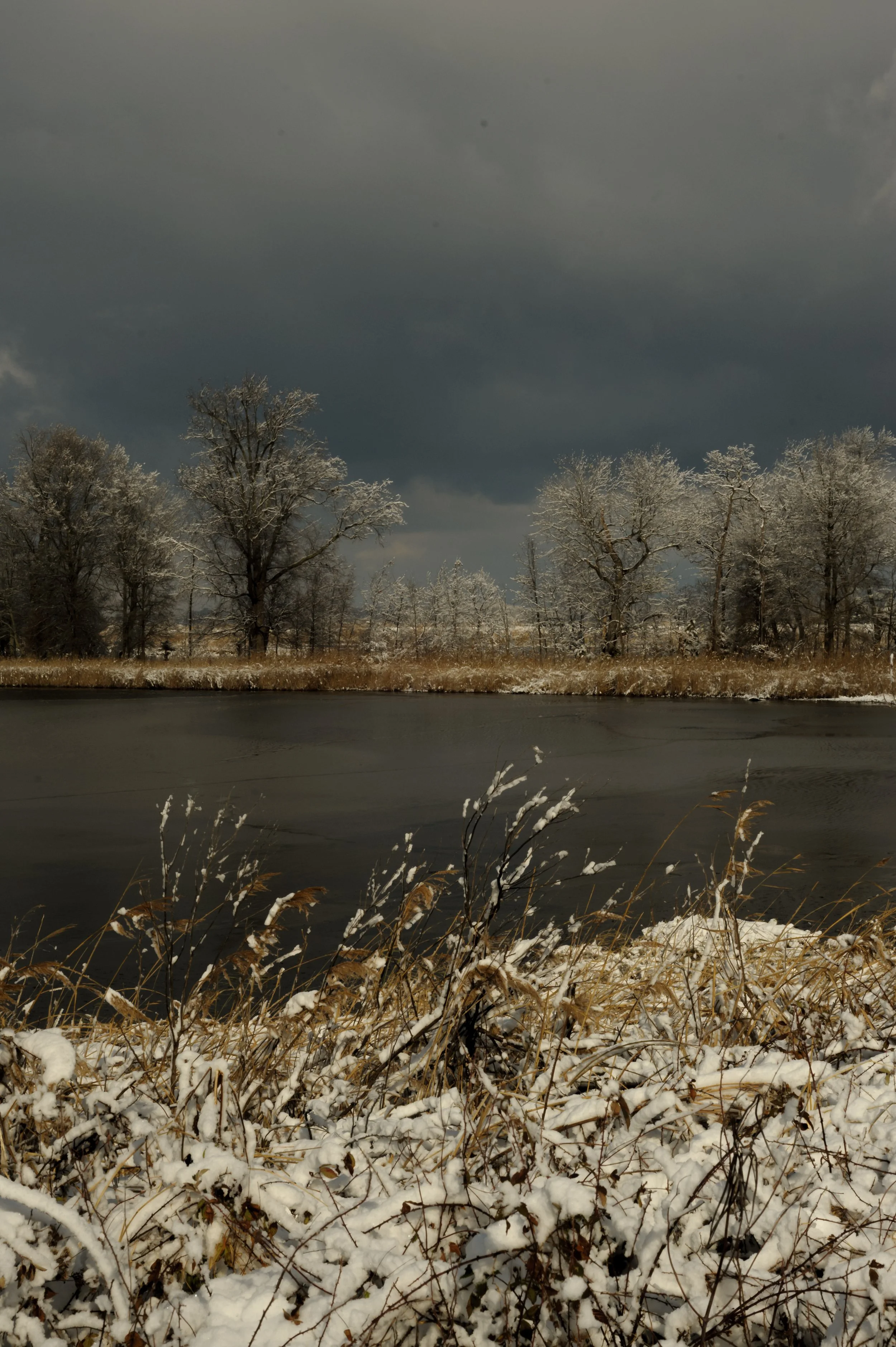 Winter at Bombay Hook_DSC0398