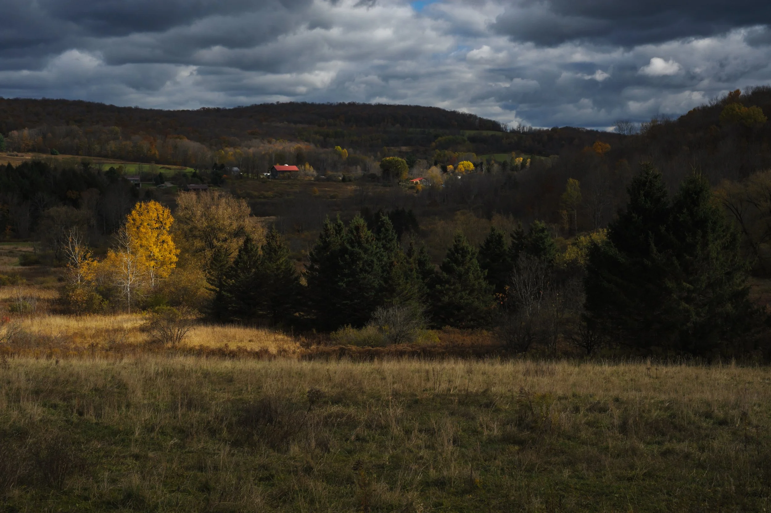 Late Autumn NY_DSC0016
