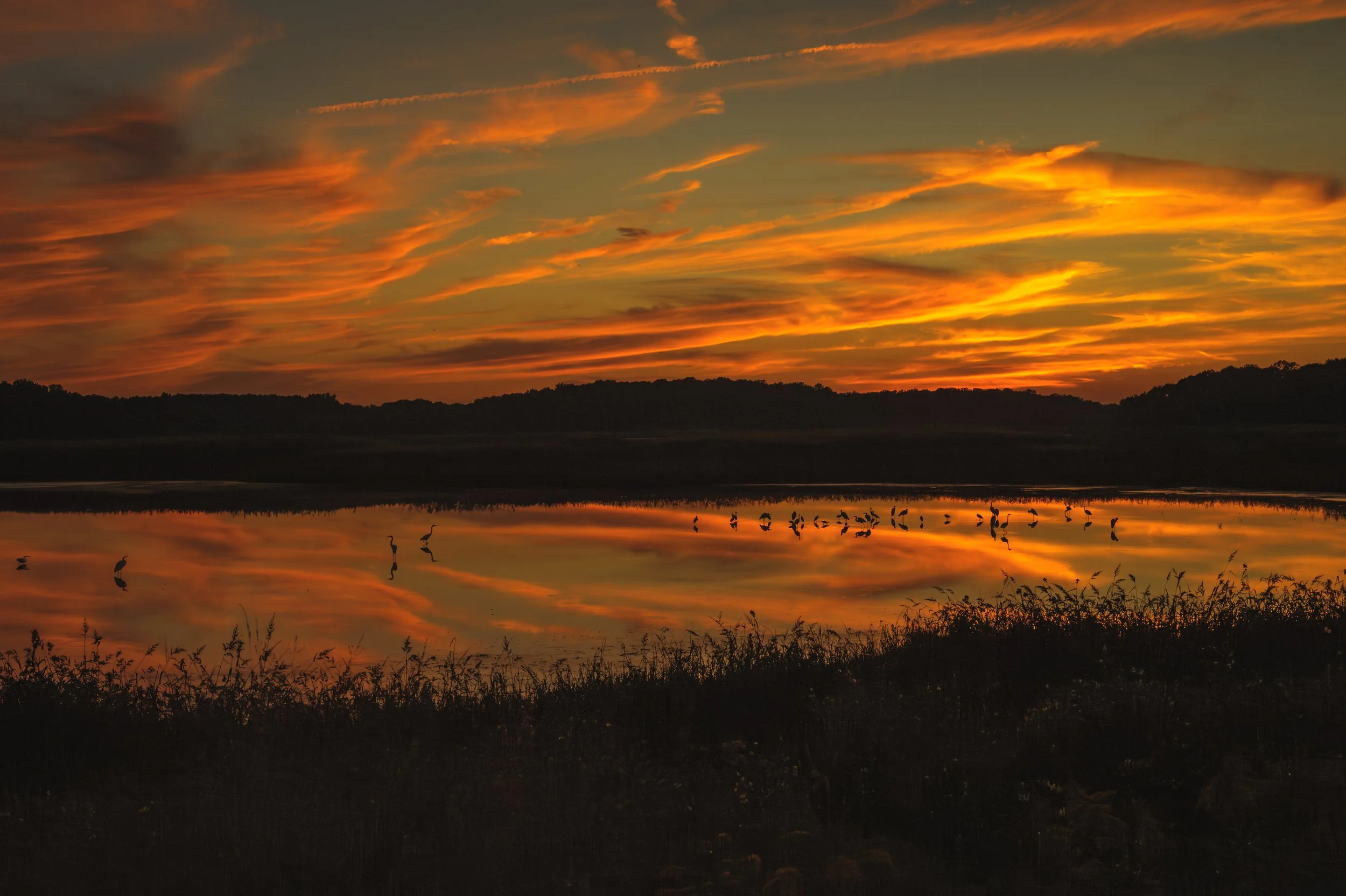 Sunset at Bombay Hook_DSC9997