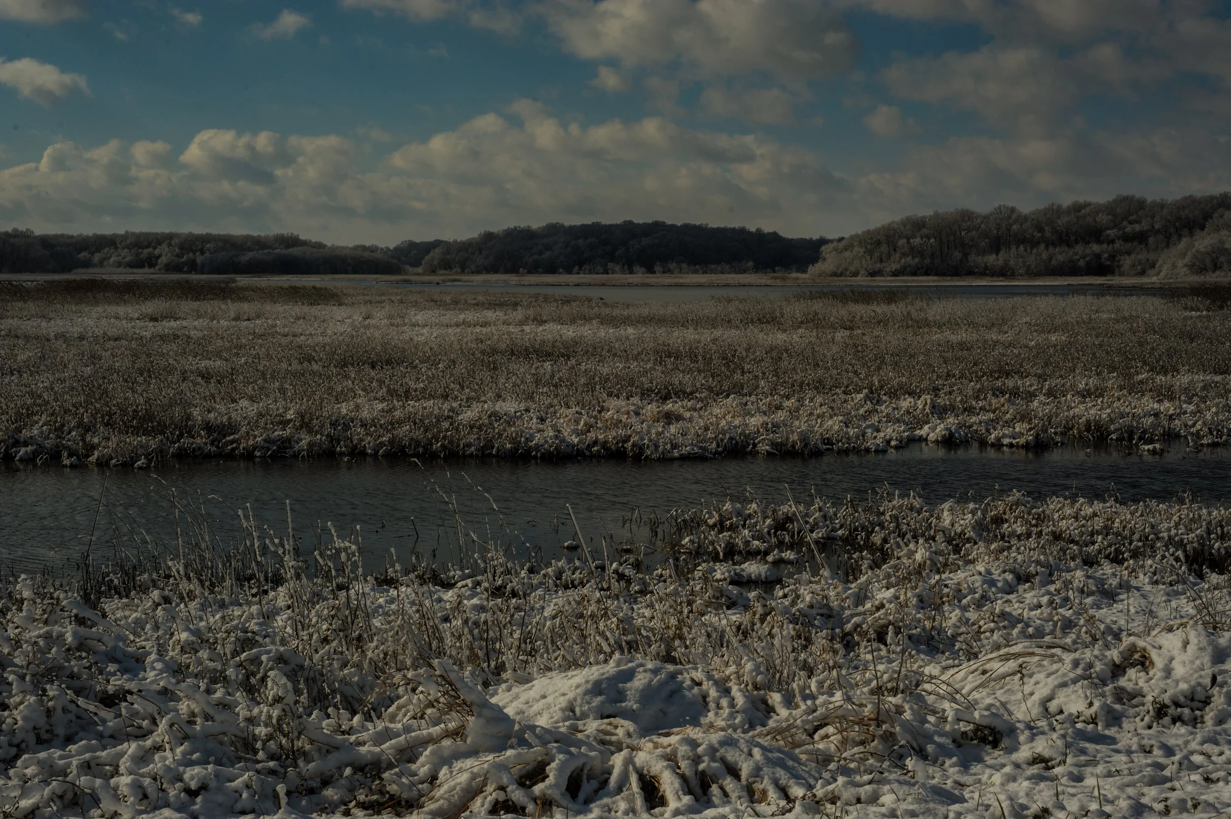 Winter at Bombay Hook_DSC0344