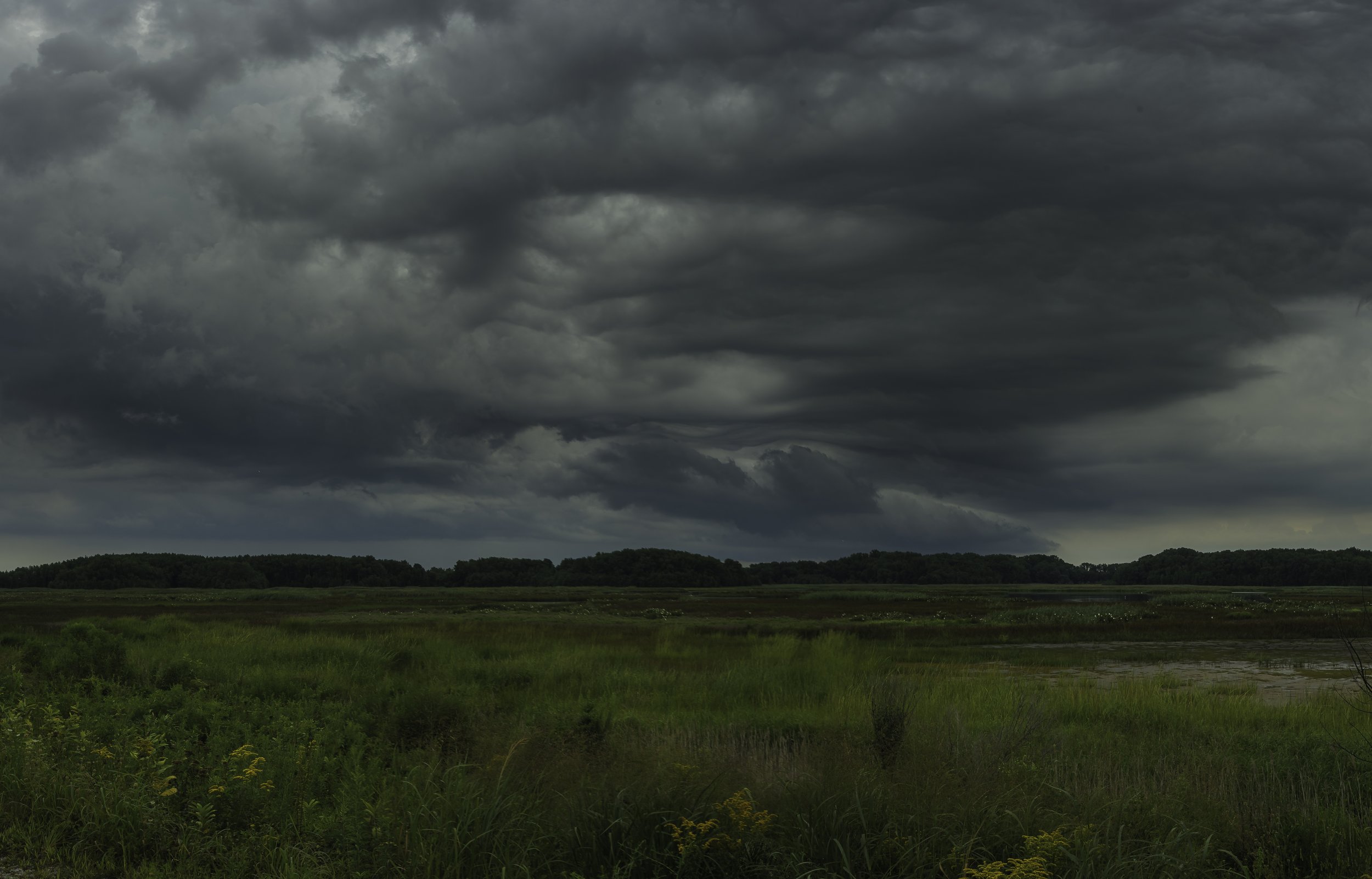 Dry Catchment  Bombay Hook_DSC9903-Pano