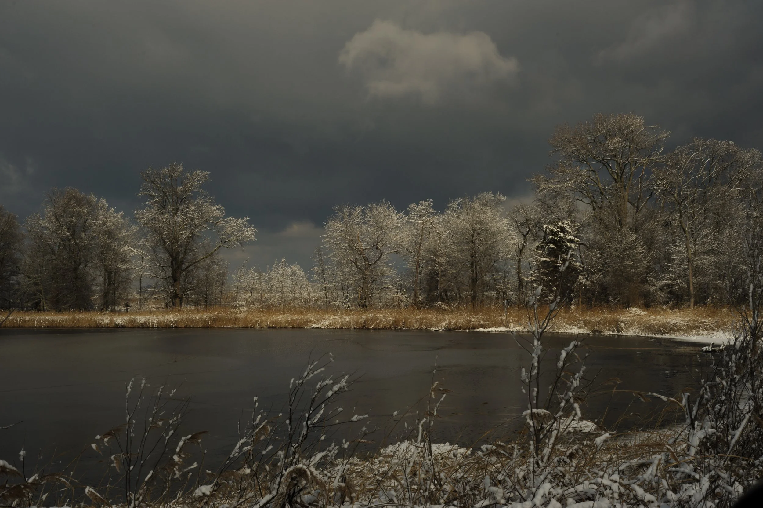 Winter at Bombay Hook_DSC0397