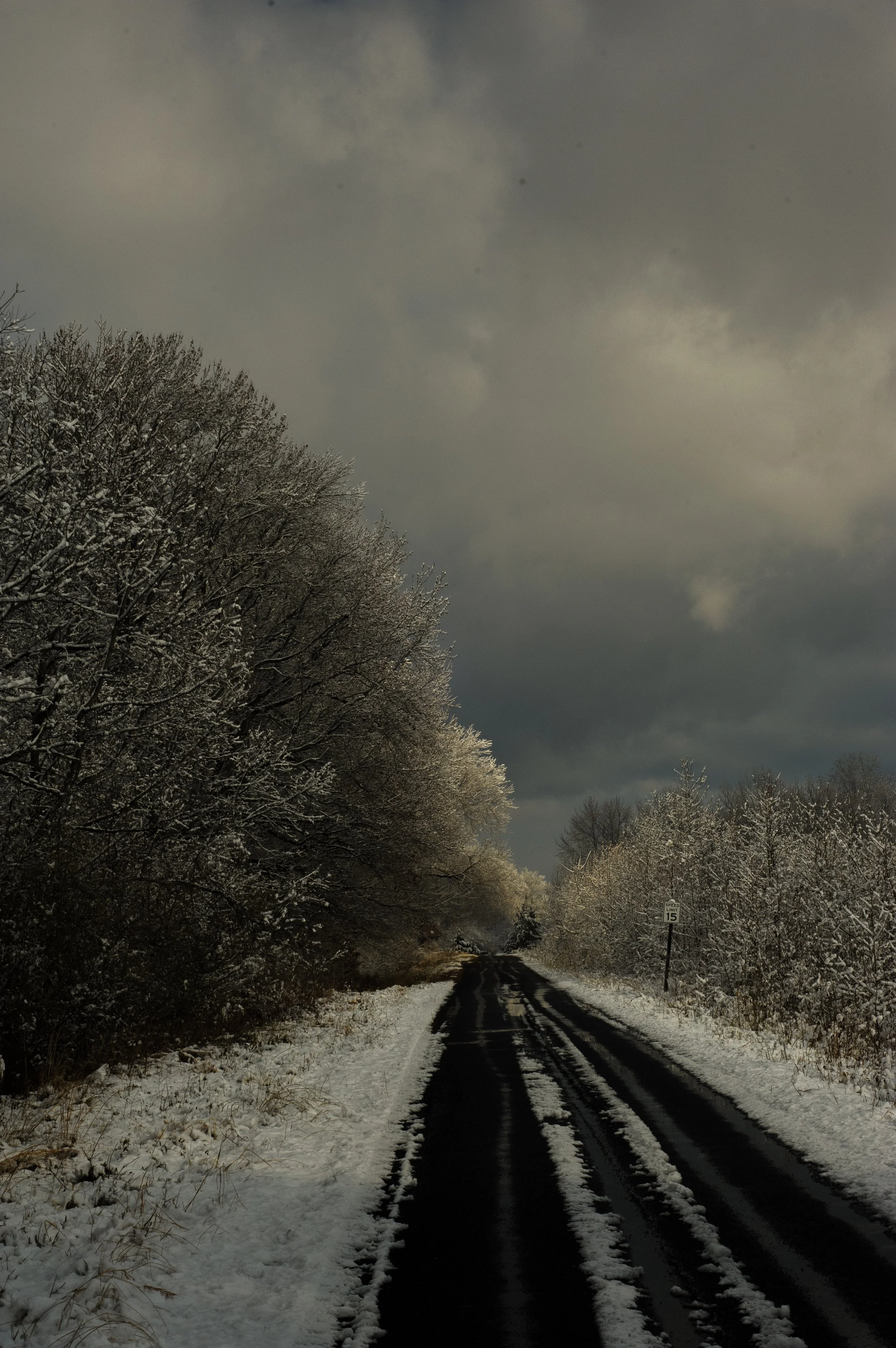 Winter at Bombay Hook_DSC0391