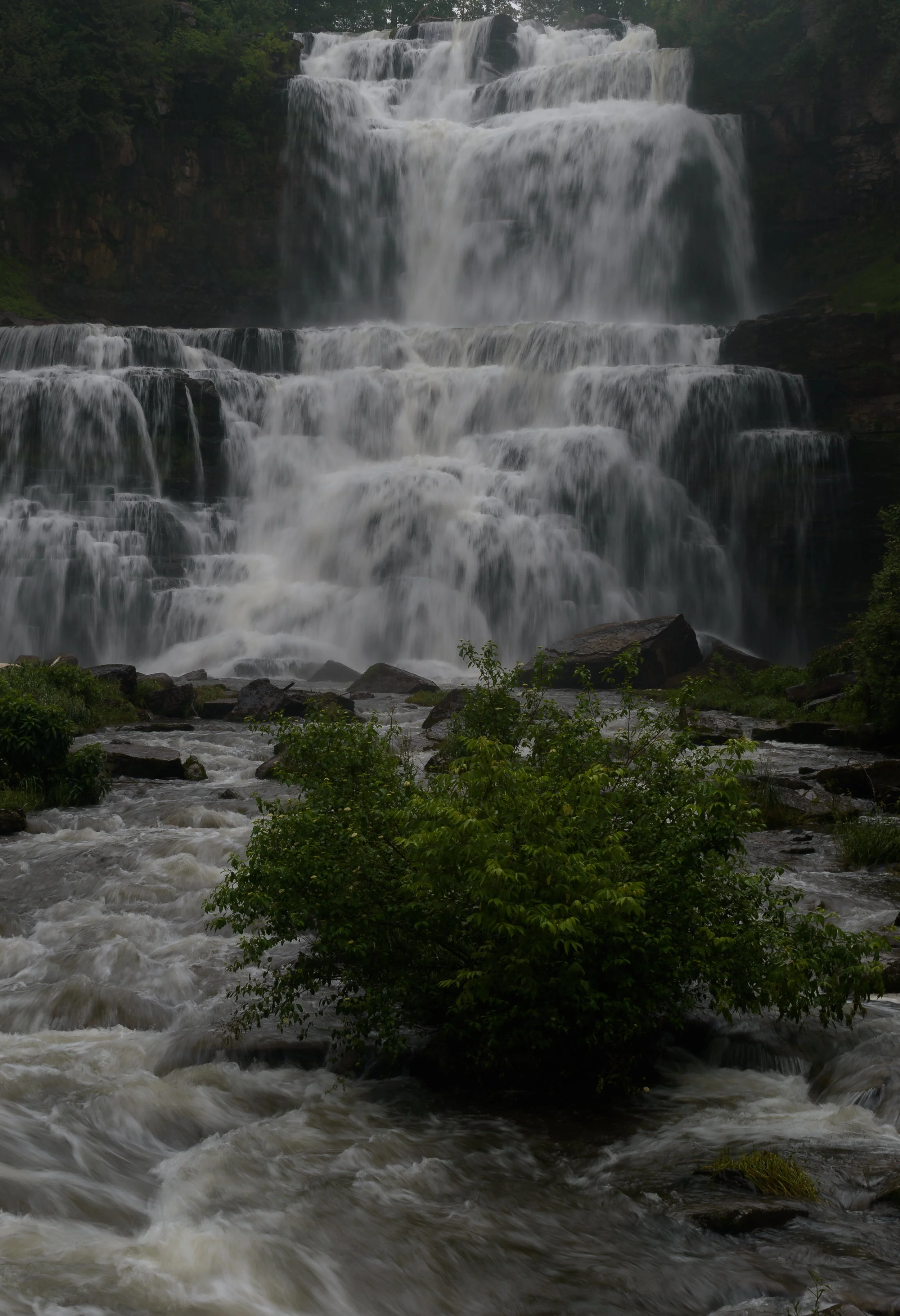 Chittenango Falls_DSC9702