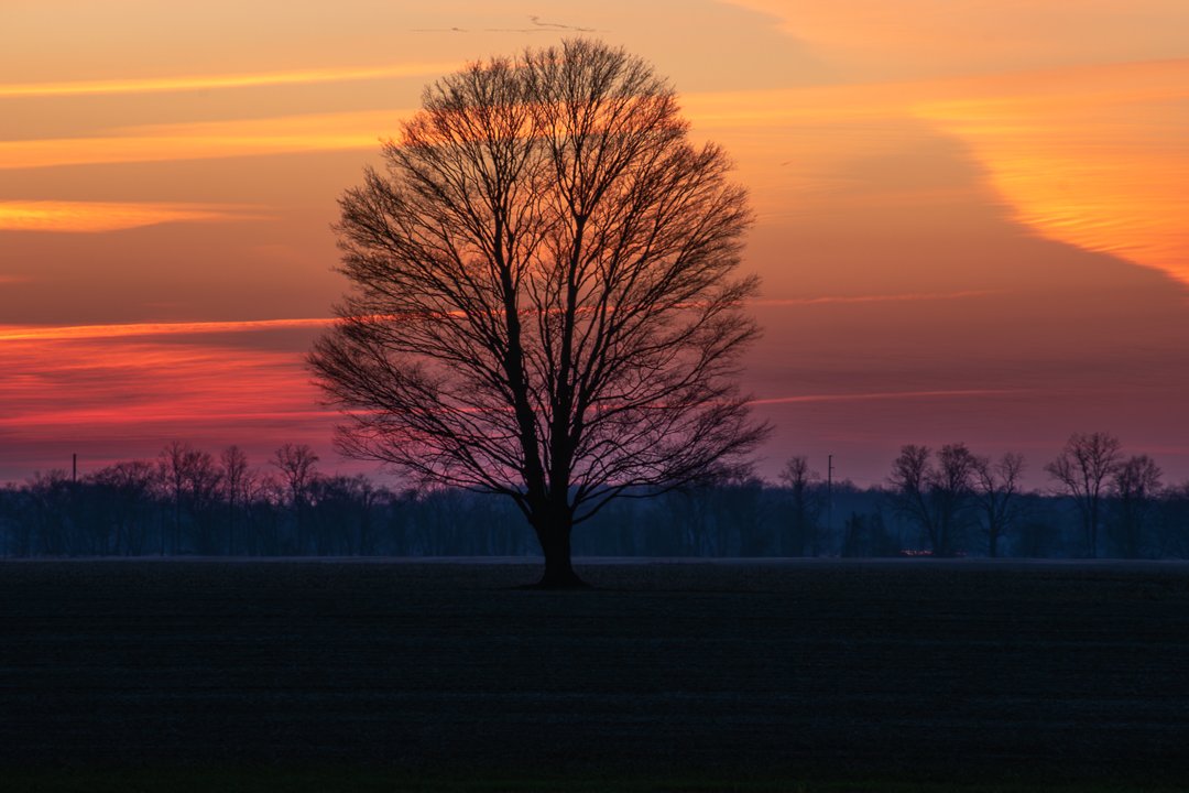 Sunset Silouette_dsc4510