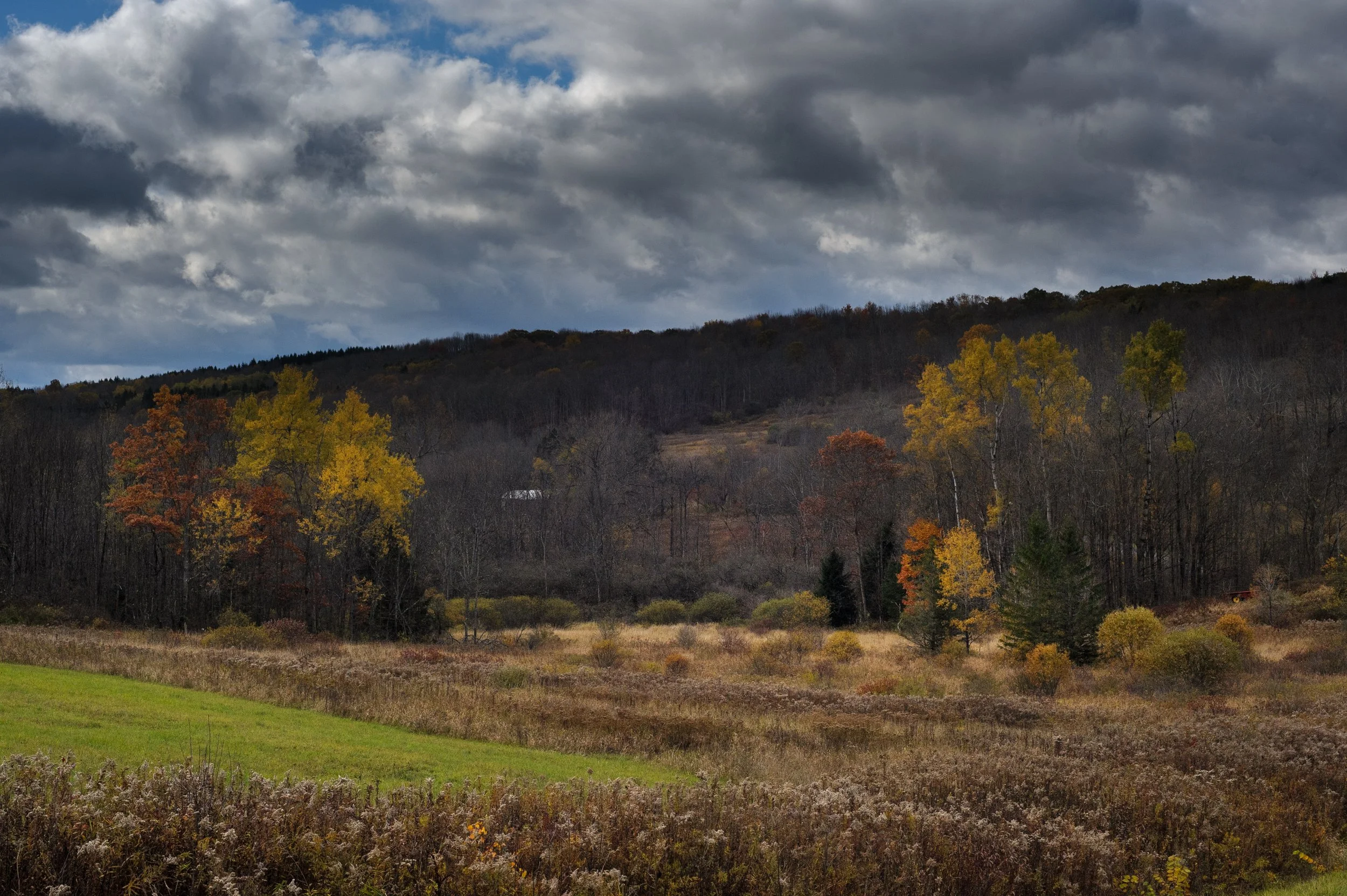 Late Autumn NY_DSC0014