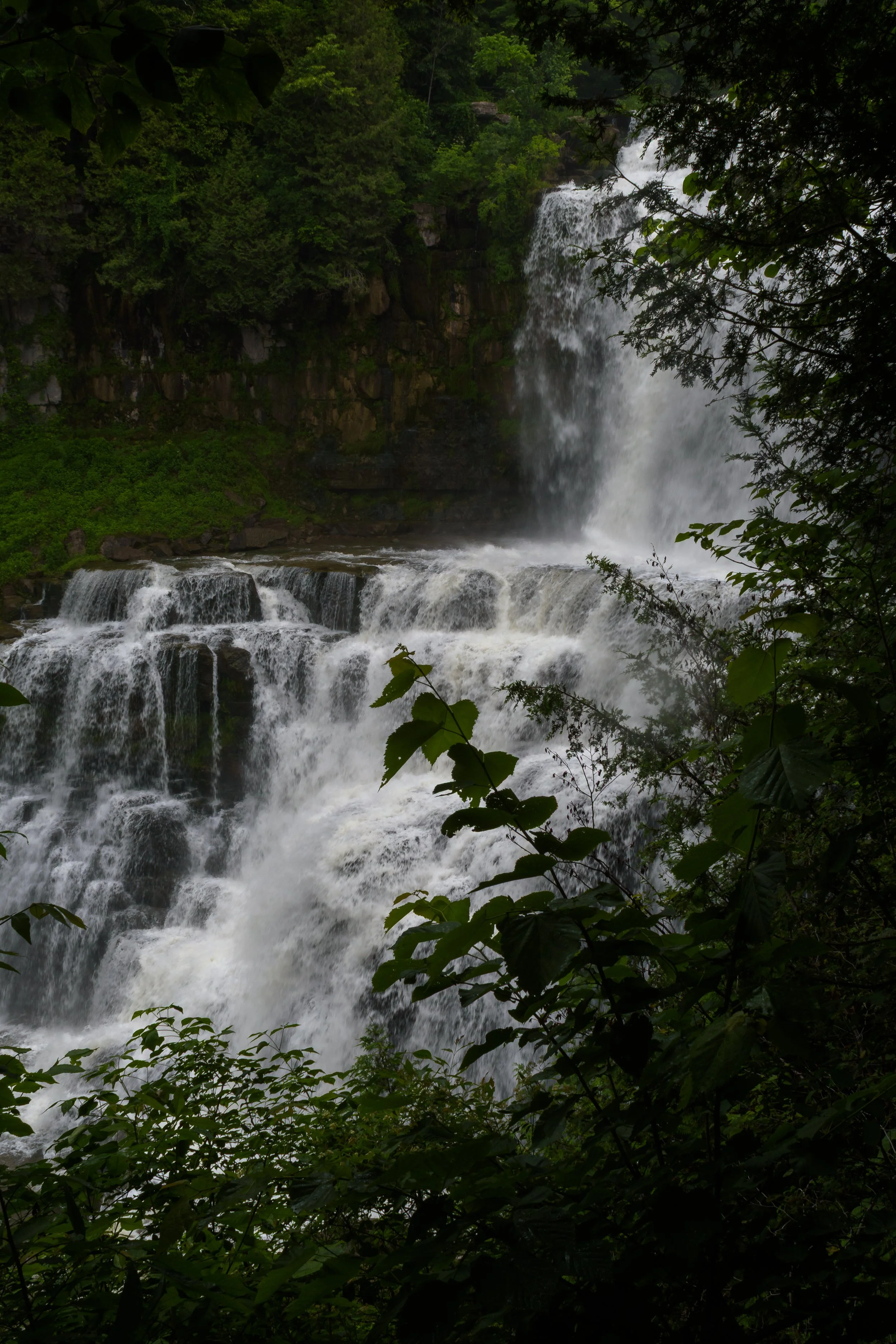 Chittenango Falls_DSC9698