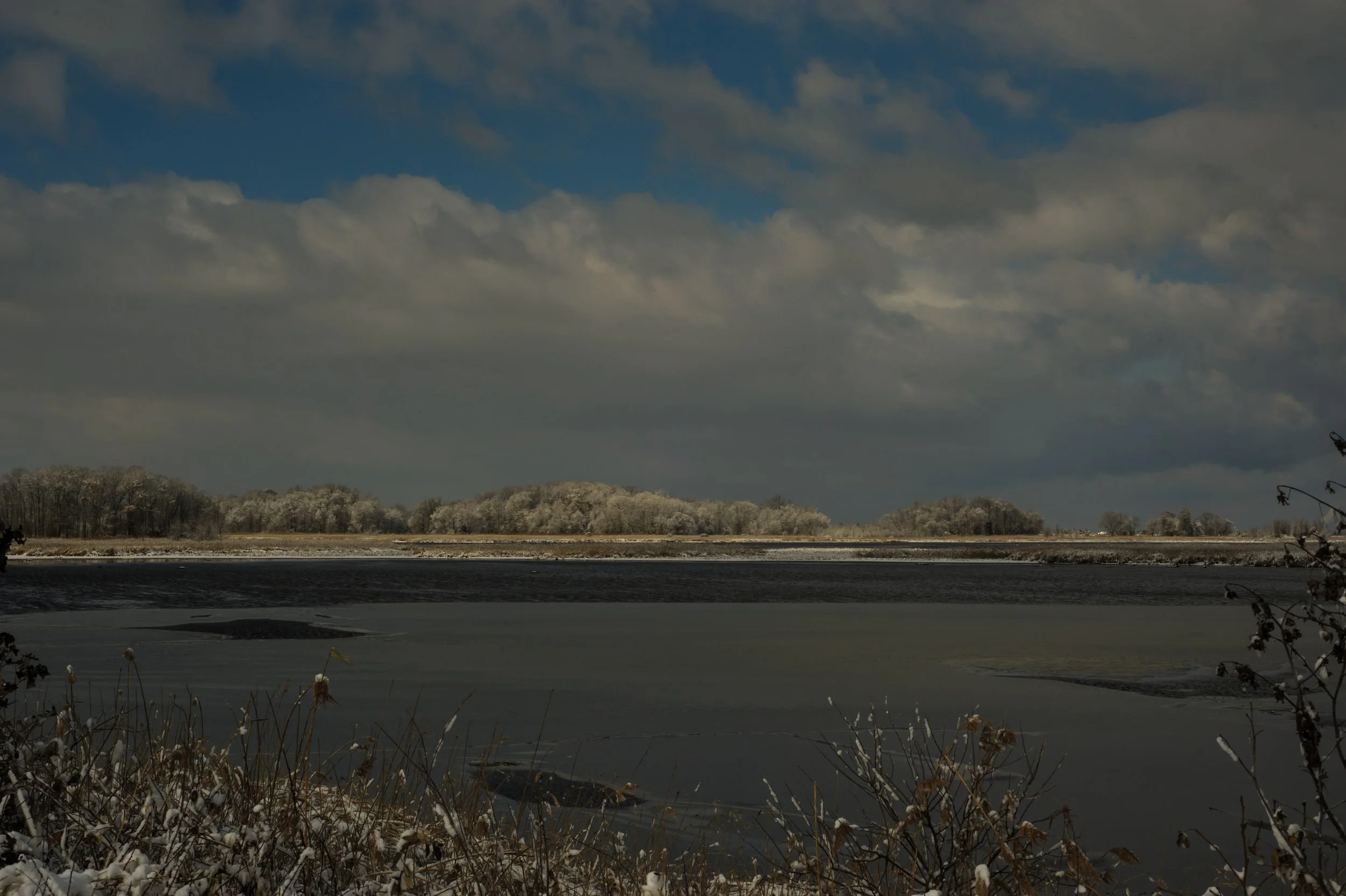 Winter at Bombay Hook_DSC0395