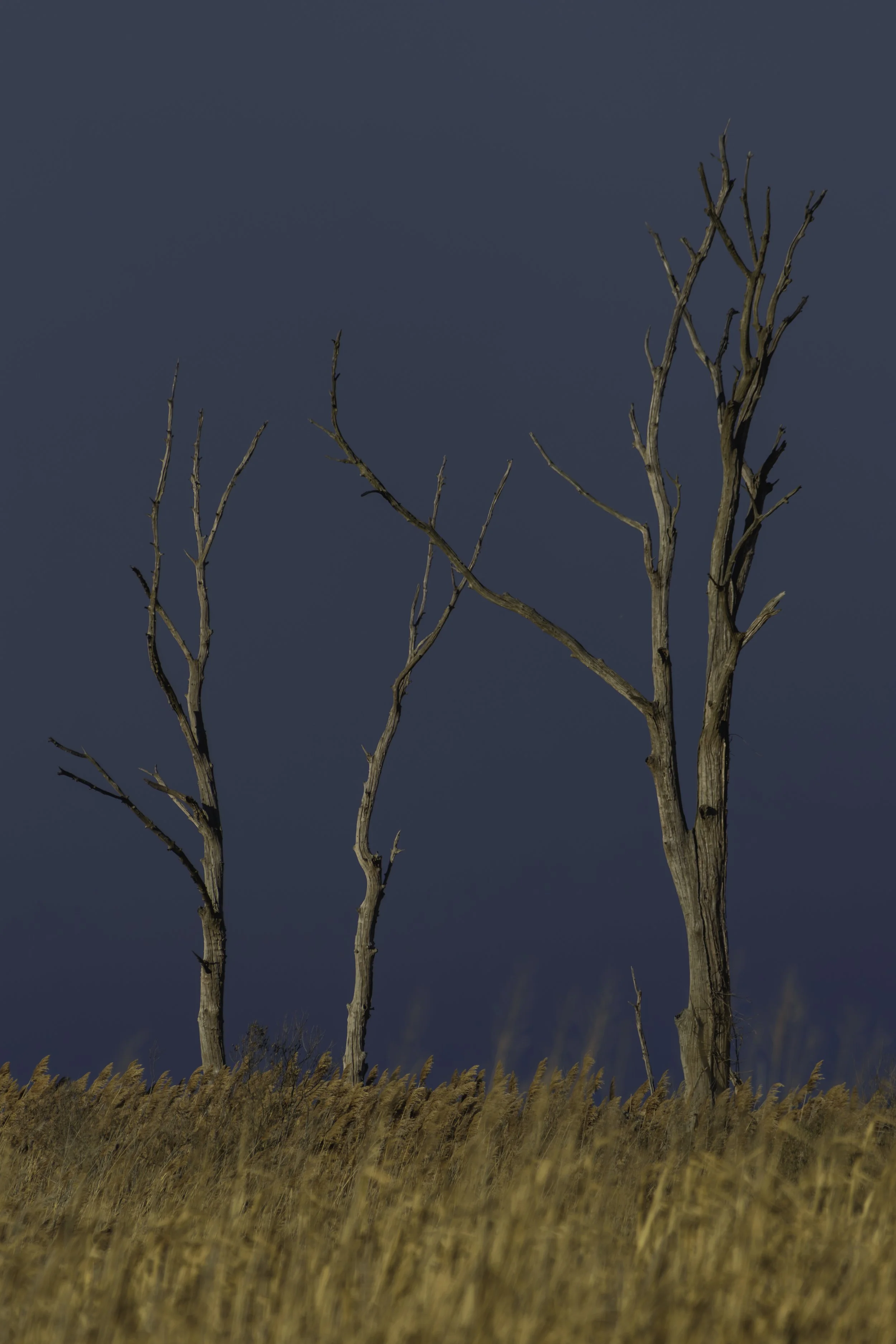 Three Watchmen_DSC2824