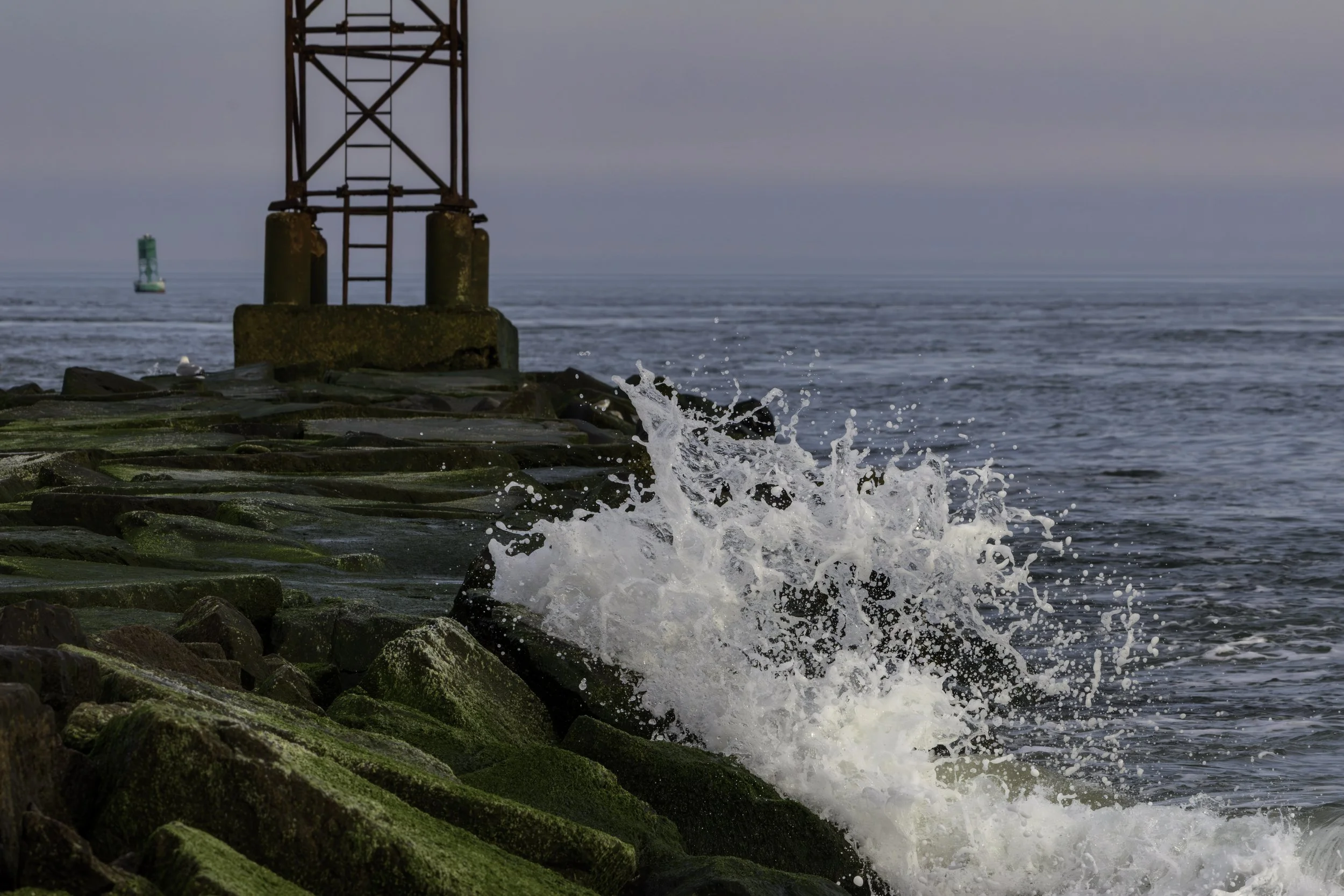 Indian River Jetty_DSC2632
