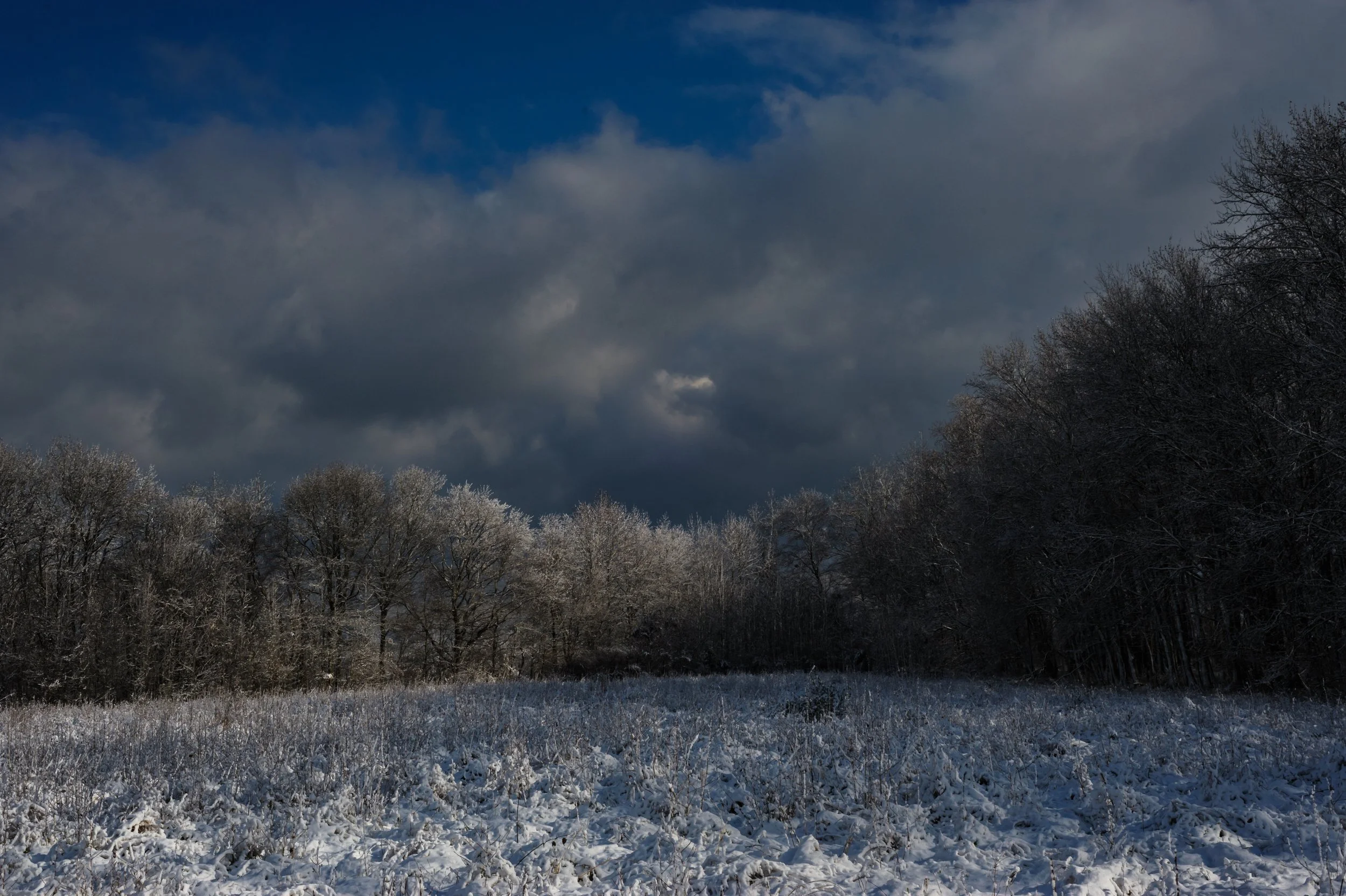 Winter at Bombay Hook_DSC0384