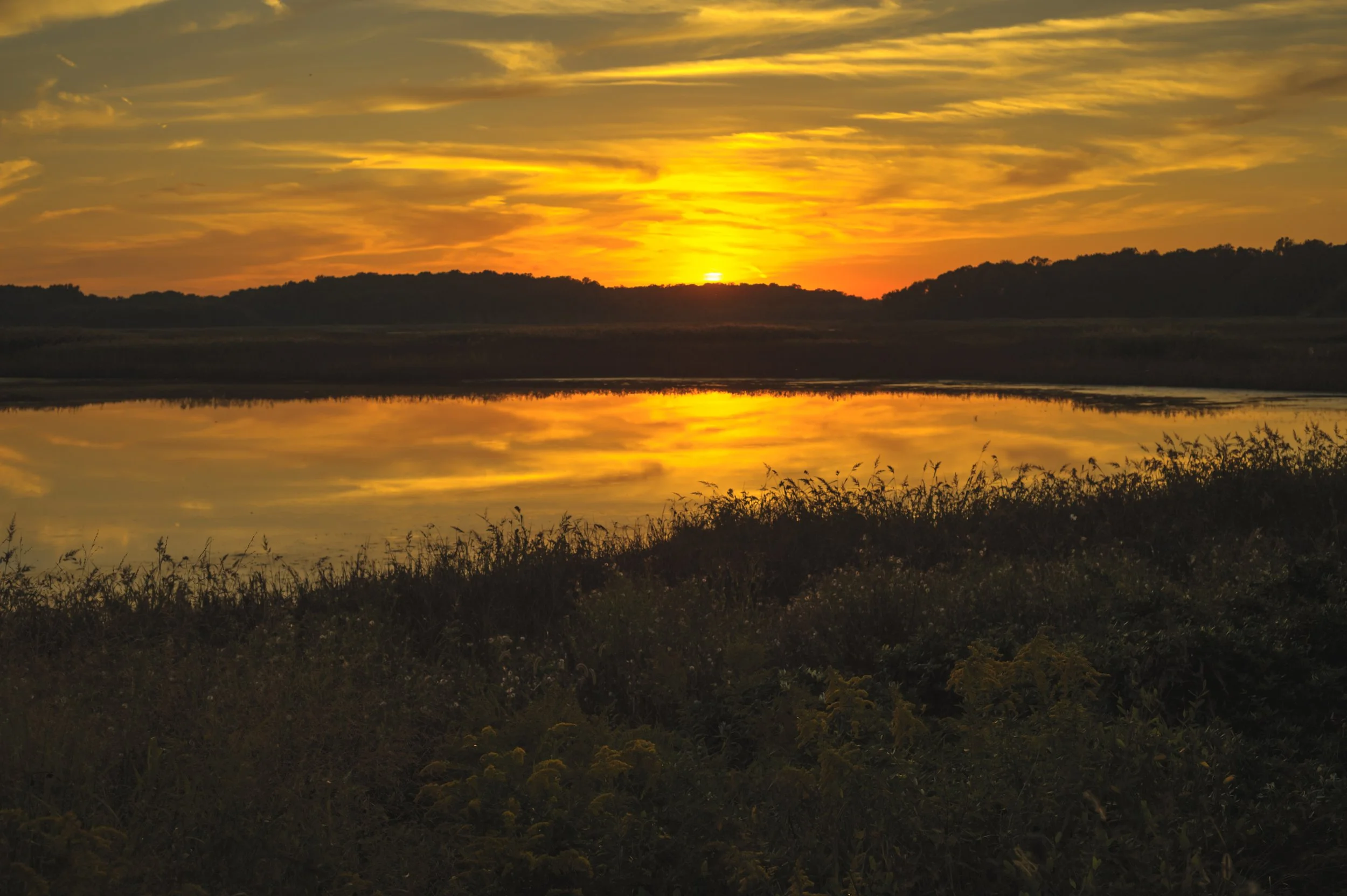 Sunset at Bombay Hook_DSC9956
