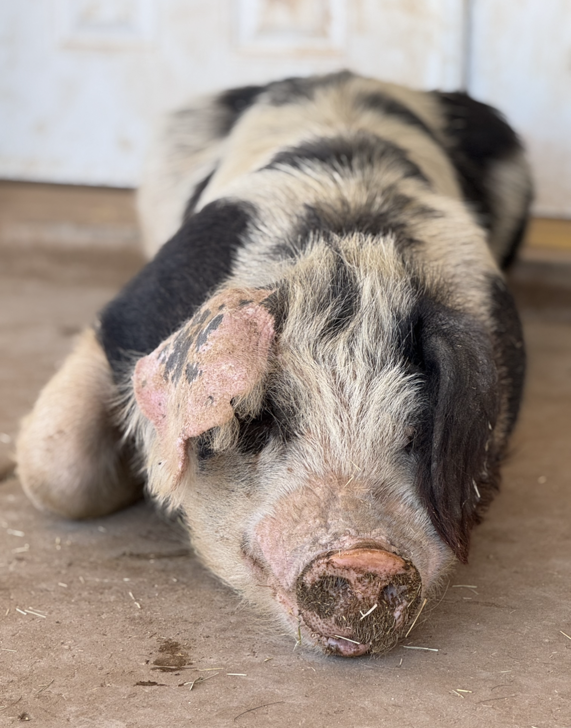 View recent photos 3.png