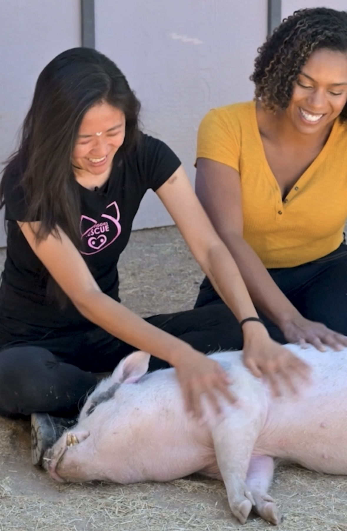 View recent photos 5.png