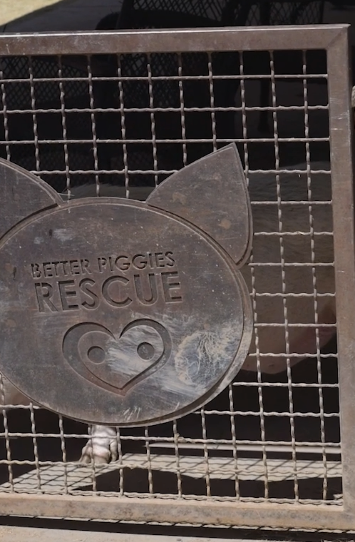 View recent photos 9.png