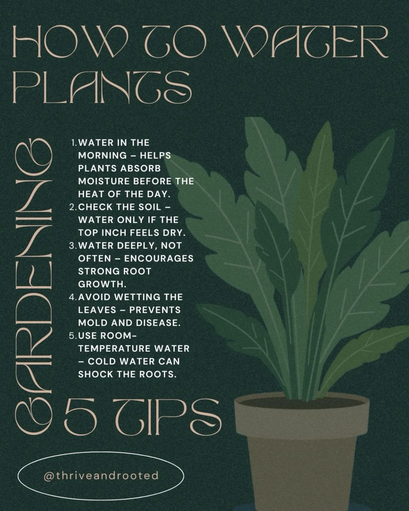 April is National Garden Month, a time to celebrate the simple act of growing food and reconnecting with the earth. 🌱

Healthy plants start with healthy habits, and something as simple as how we water can make a big difference in how our gardens thr