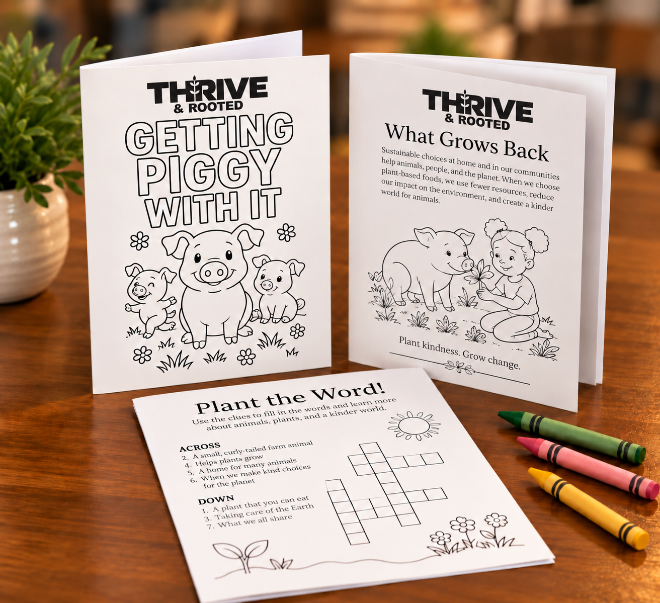 Thrive & Rooted Activity Booklets.png