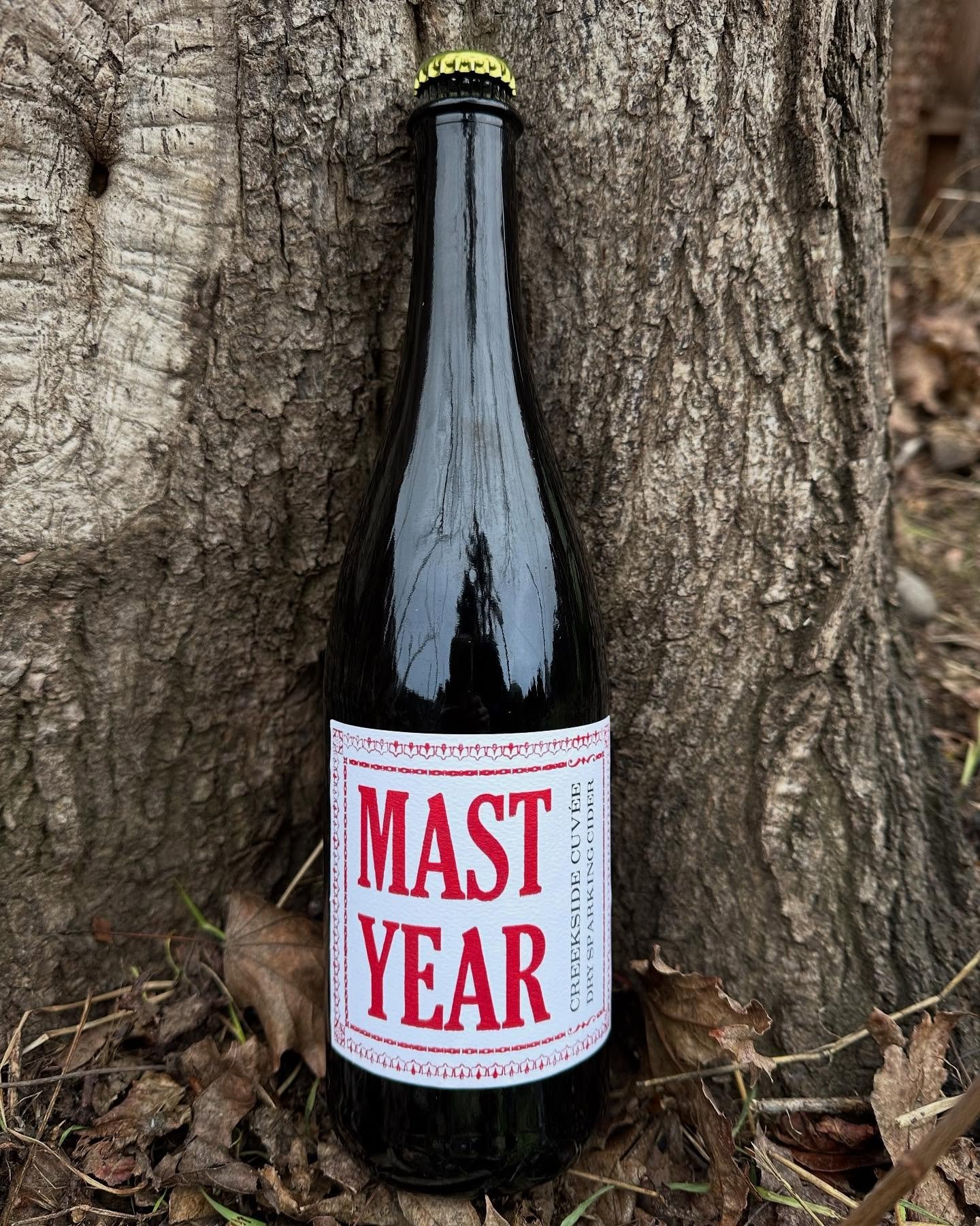 It is with a strong sense of pride and the most sincere gratitude that we, Mast Year Cider, present to our friends, families and followers our inaugural vintages. They are called Columbia County, Hilltop Cuv&eacute;e , Creekside Cuv&eacute;e (picture