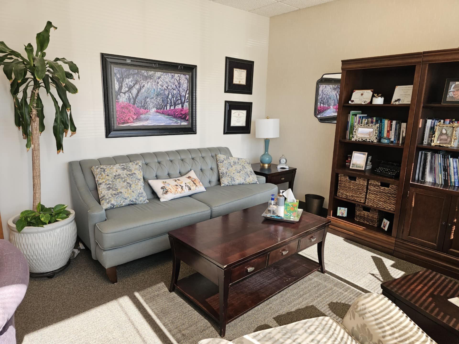 Living room with a gray tufted sofa, a dark wood coffee table, a tall bookshelf, a side table with a lamp, framed artwork on the wall, a large plant in a white pot, and various decorative items and books.