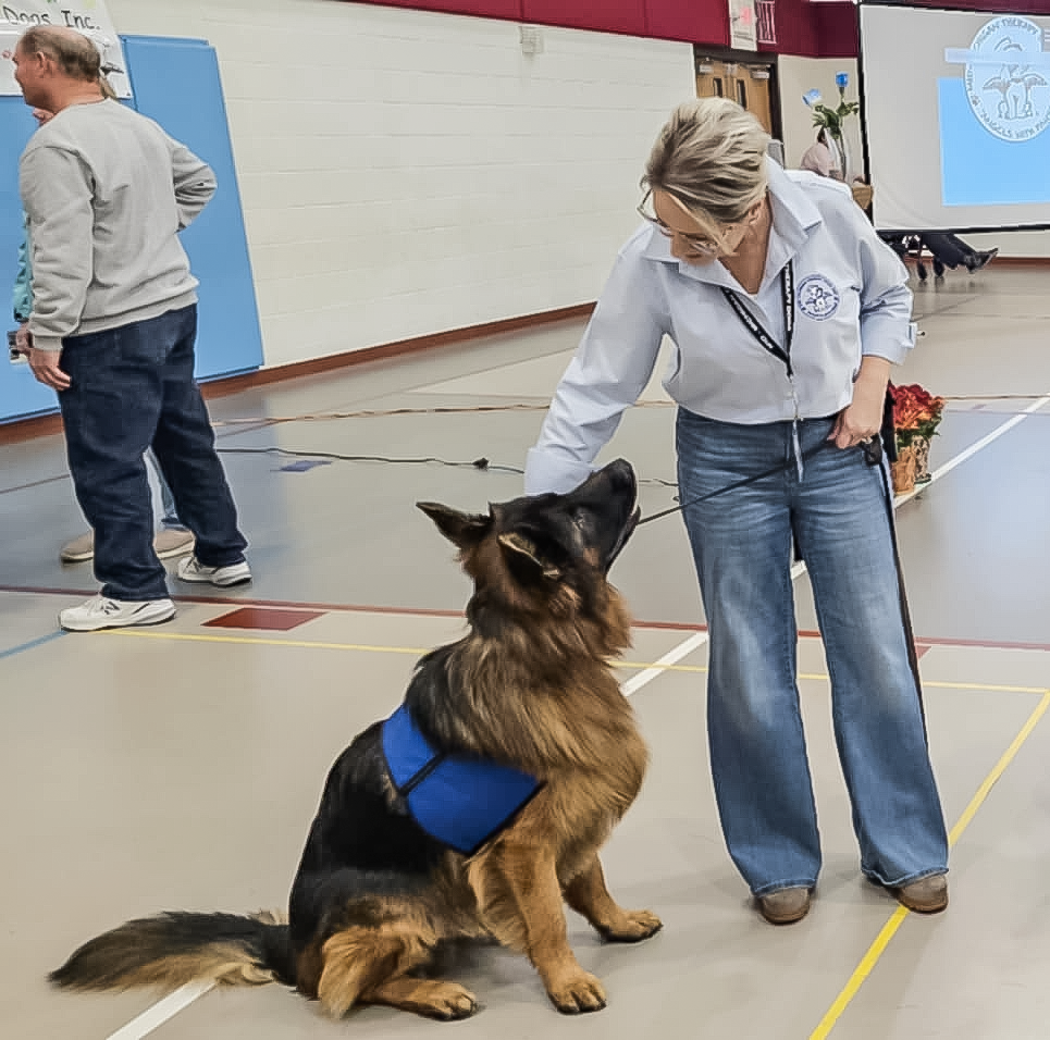 A woman with blonde hair and glasses, dressed in a light blue shirt with a logo, is training a large German Shepherd wearing a blue harness in an indoor setting. The dog is sitting attentively, and the woman is gently holding its leash while looking at the dog. There are other people and a presentation screen in the background.
