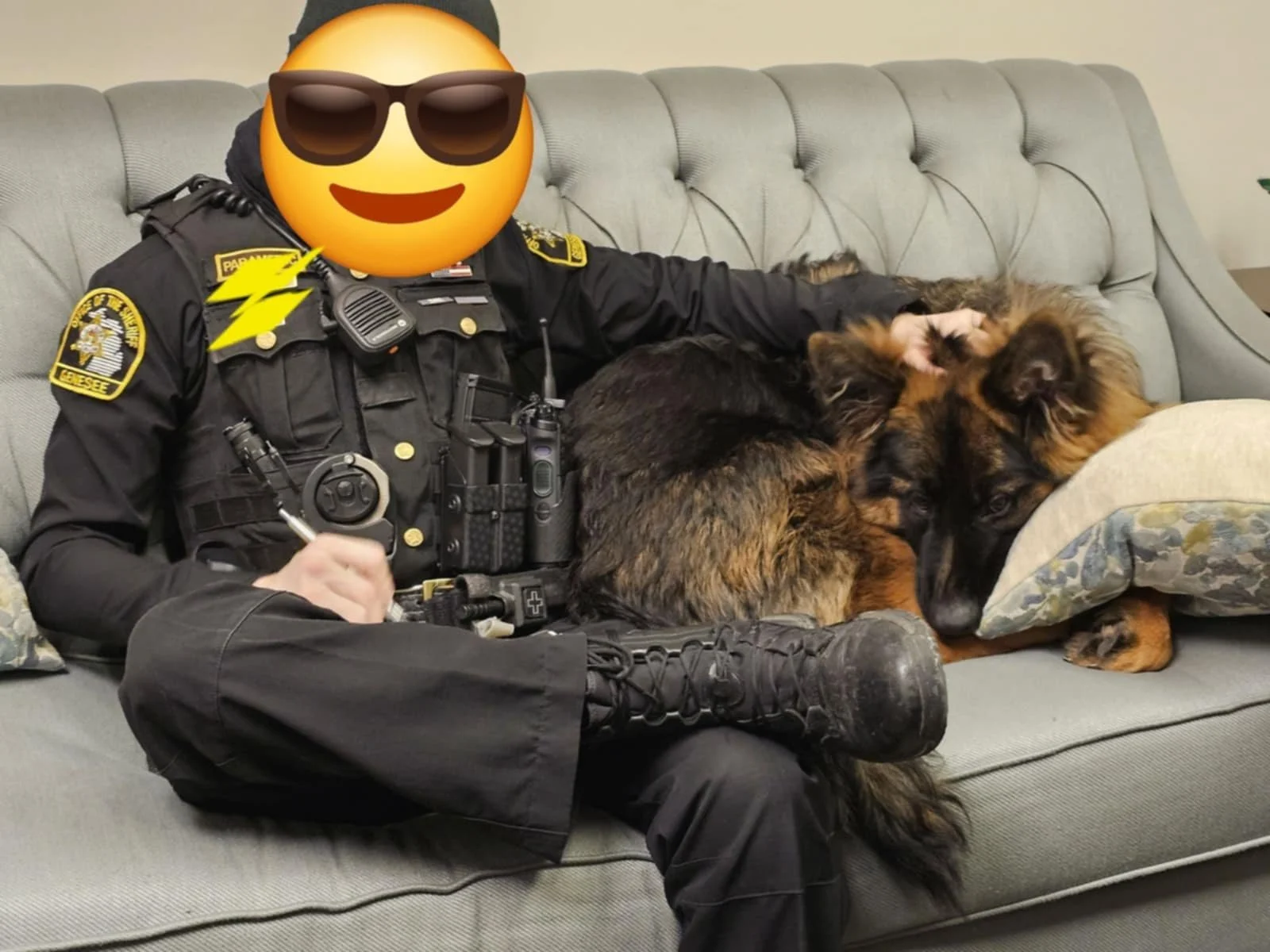 A person in police uniform sitting on a sofa with two German Shepherd dogs resting on and beside them.