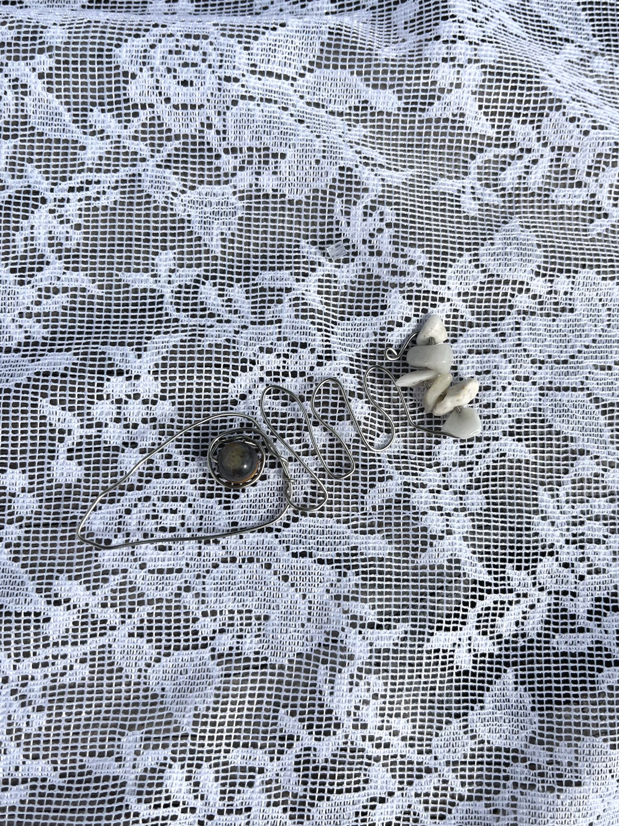 Silver Fish