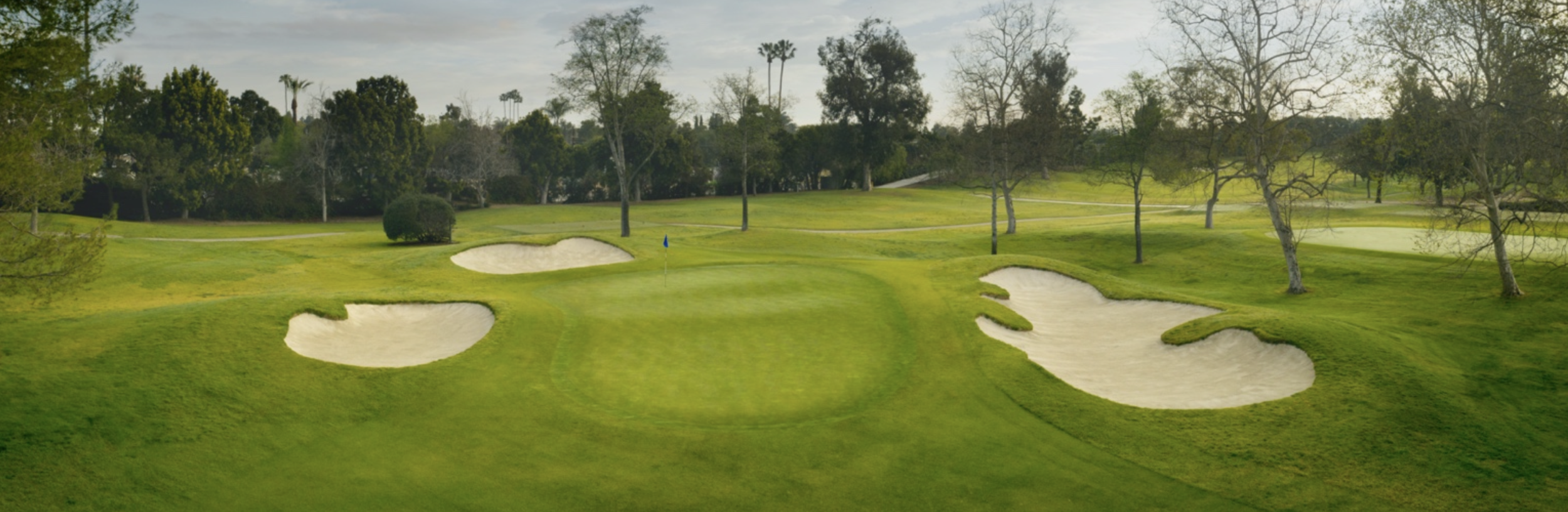 Mesa Verde Country Club, Costa Mesa, CA