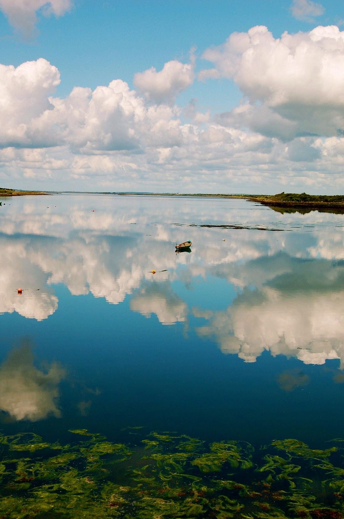 Advanced Gut Testing