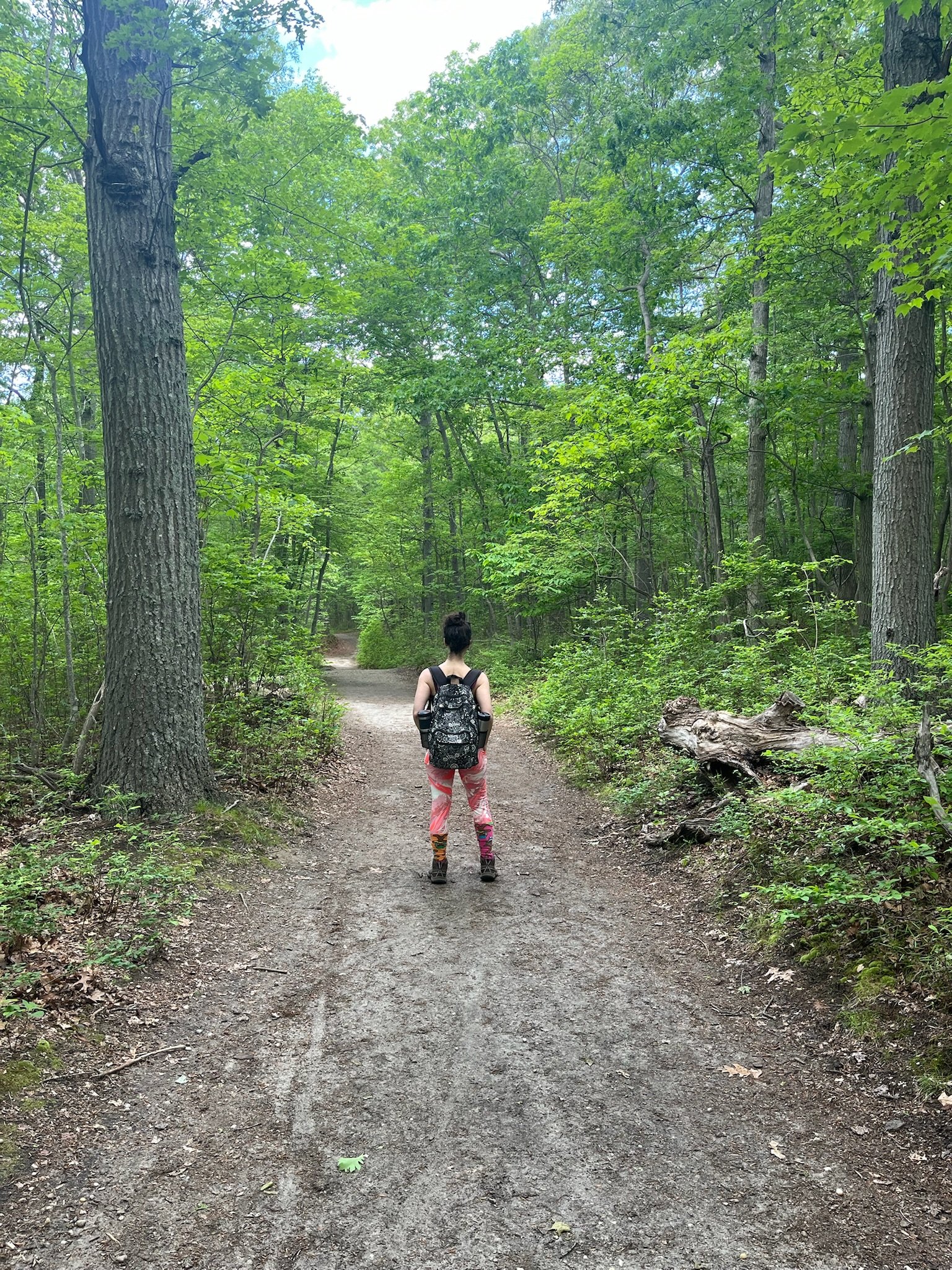 Dirty path in green woods. I'm in the middle of the path with a big black backpack facing away from the camera.