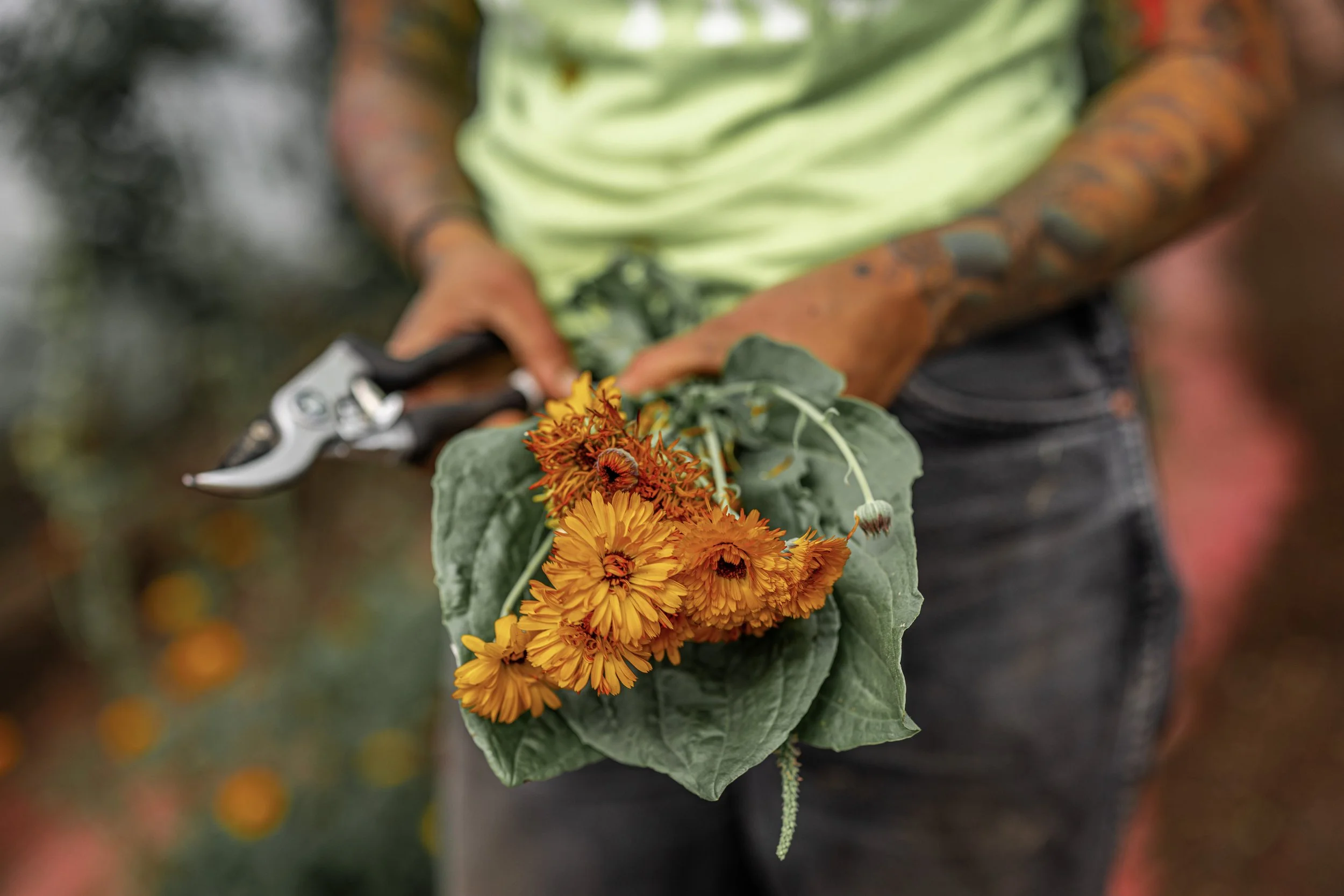 18-Flower_InHand.jpg