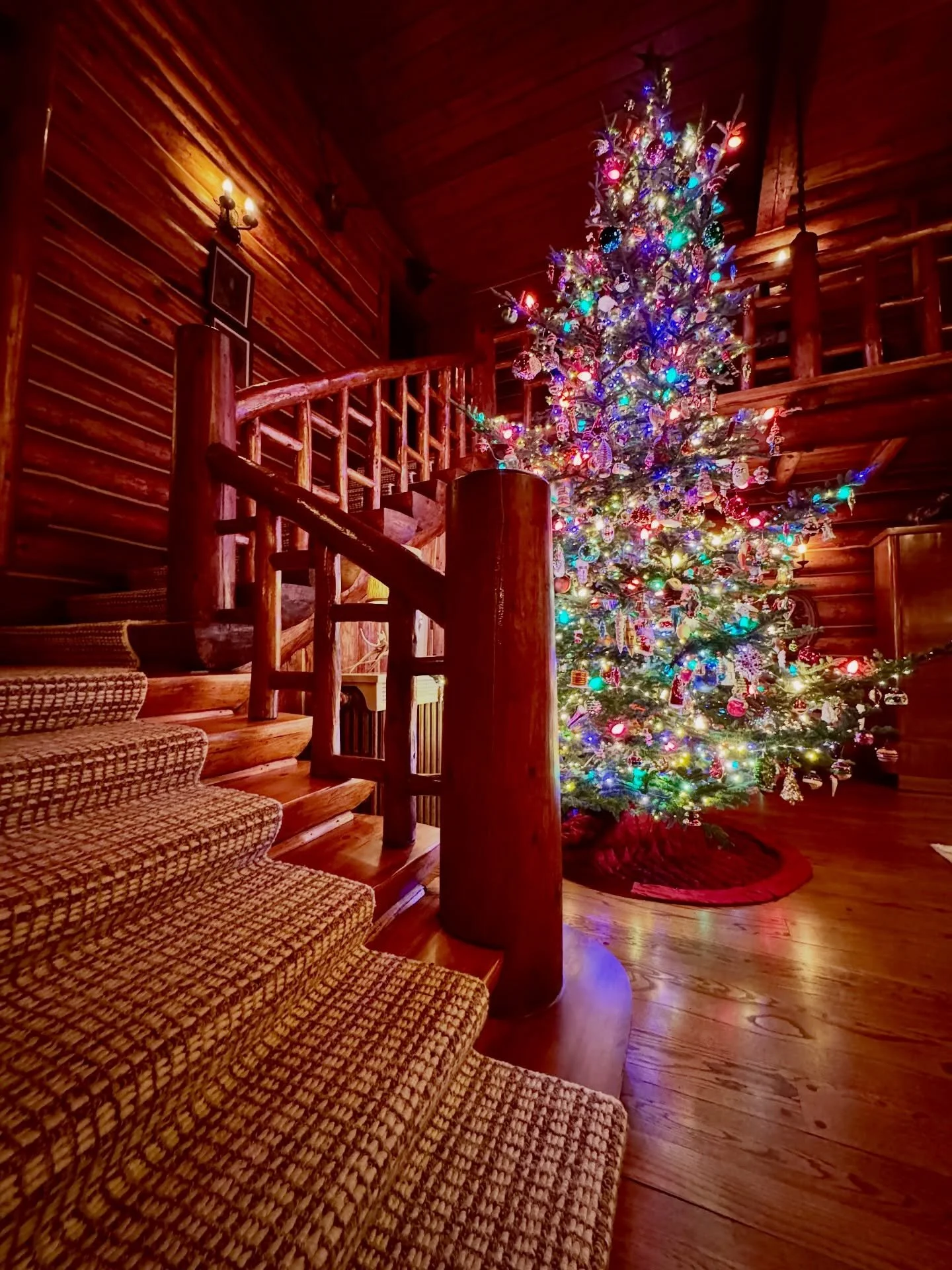 Still standing tall in the great room! Is yours still up? #neverendingchristmas #christmastree #yooperlife