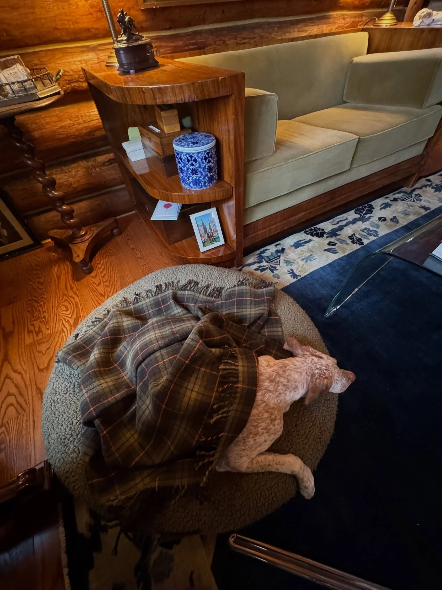 Home office mate 🐾🐶