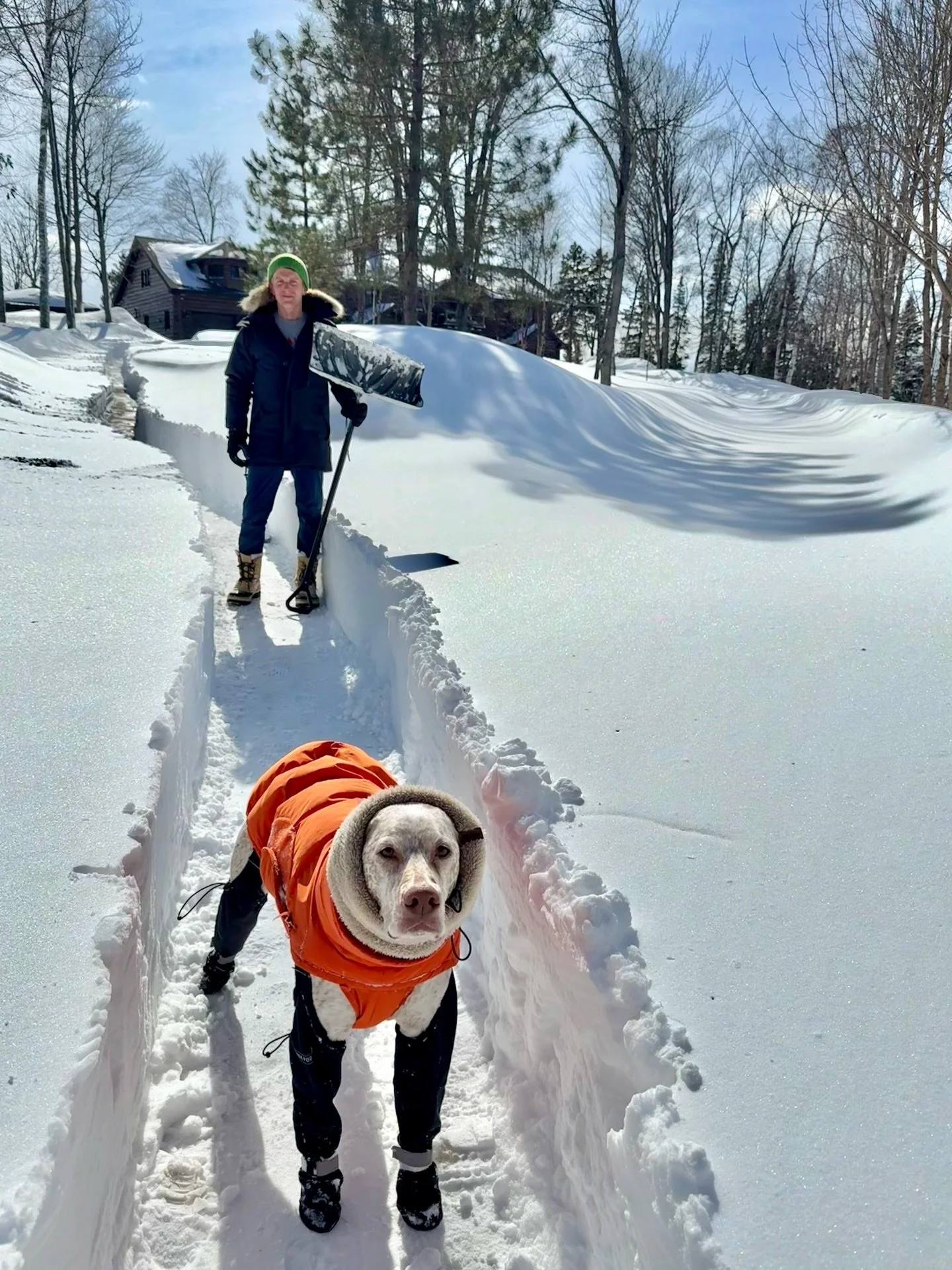 Digging out from #blizzard2026