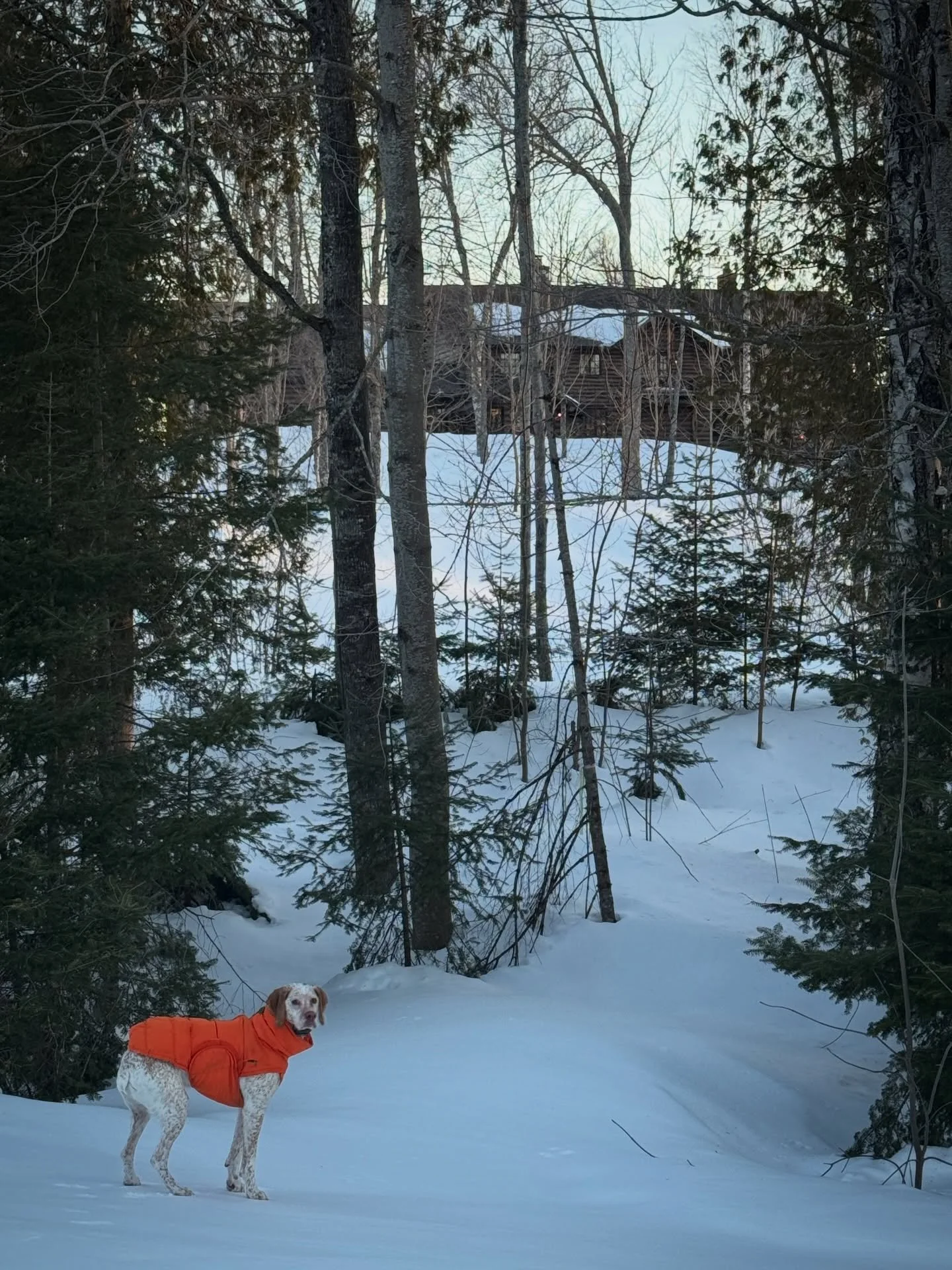 Will this snow ever melt? #yooperlife #lakemichigamme