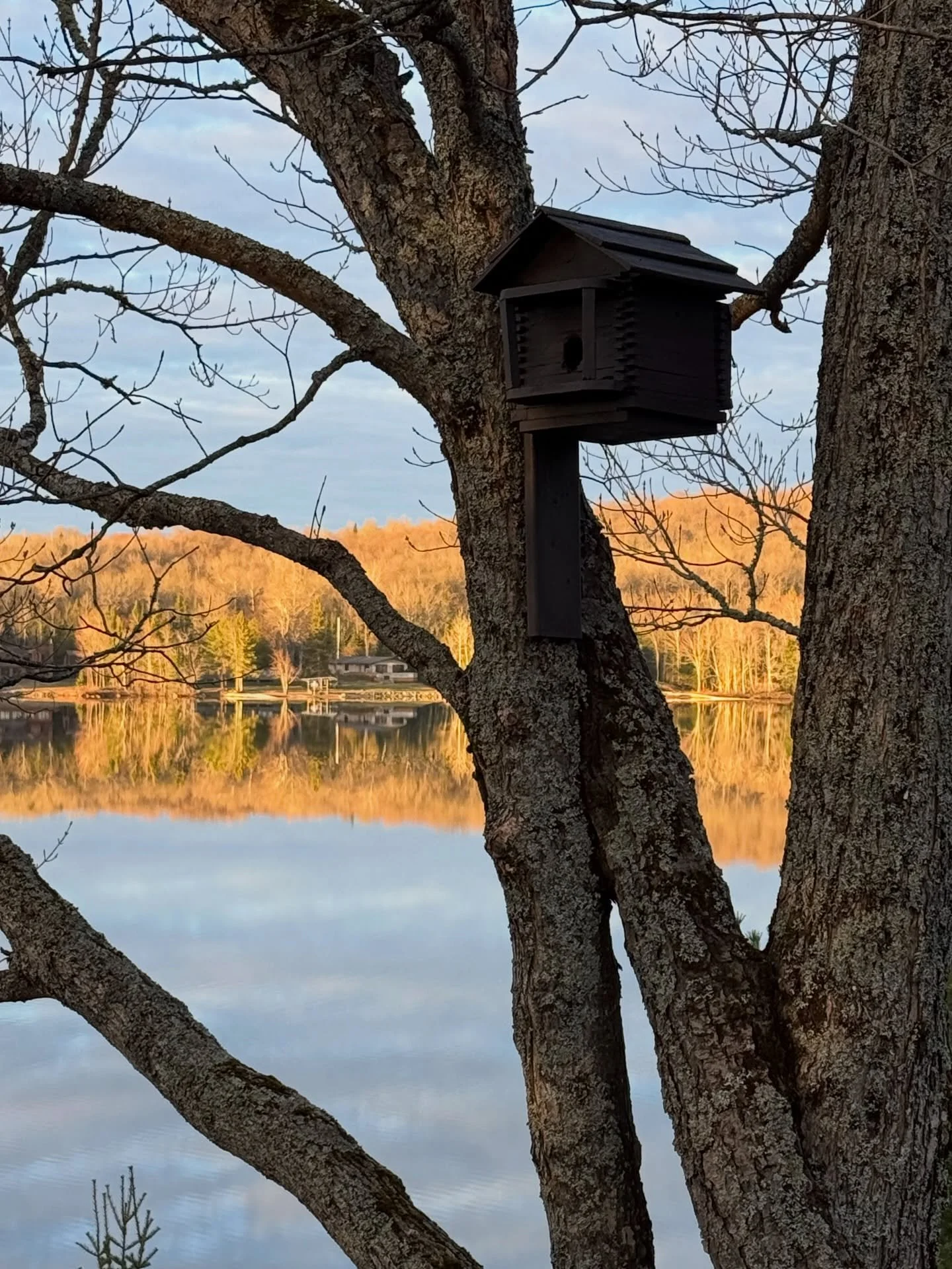 Lakefront property 🐦&zwj;⬛🪺 #birdhouse #lakemichigamme #puremichigan