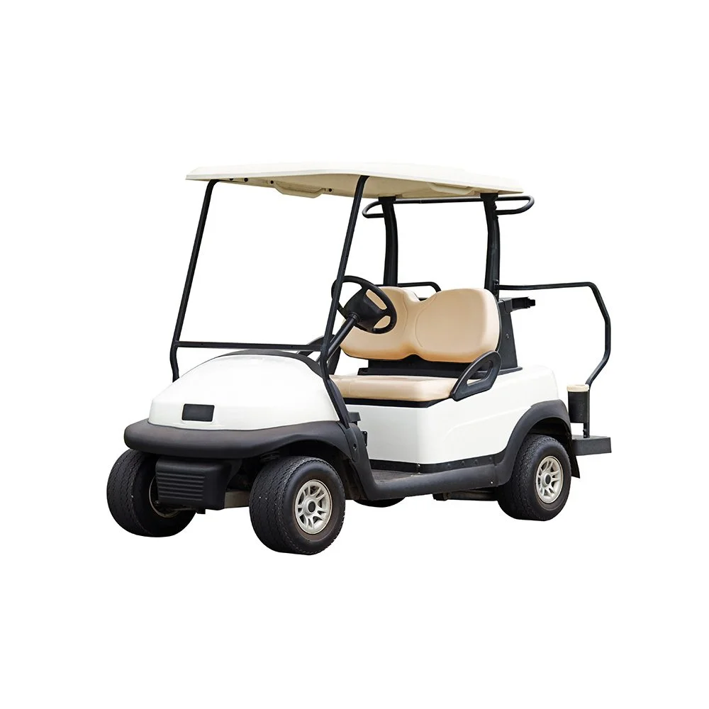 CARTS.jpg