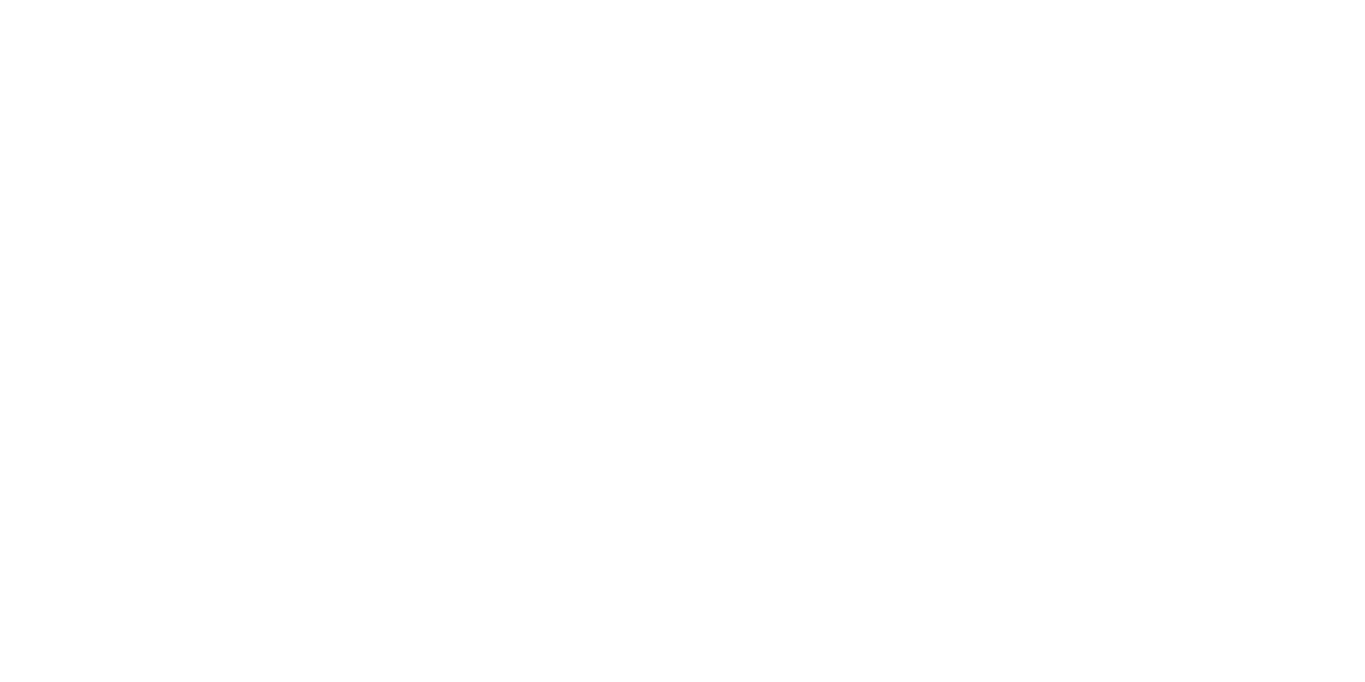 Professional Car Preparations