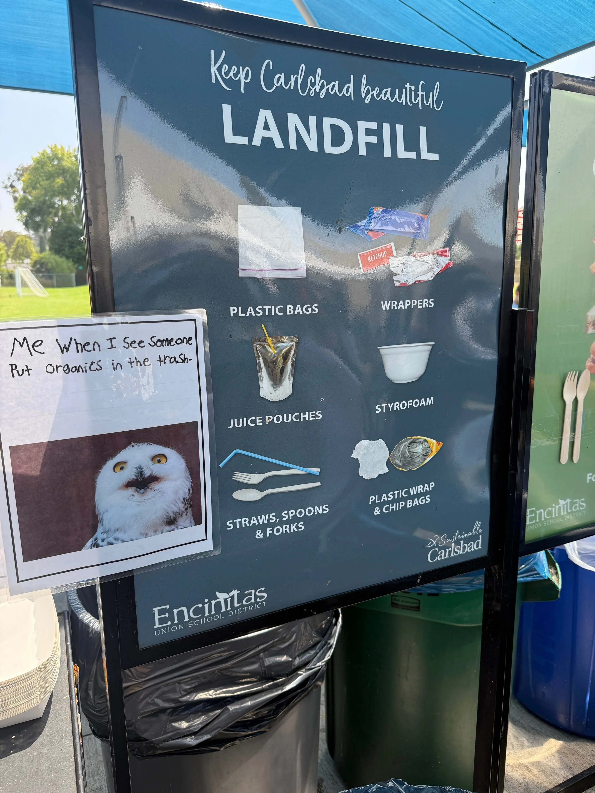 IMG_0073.jpeg