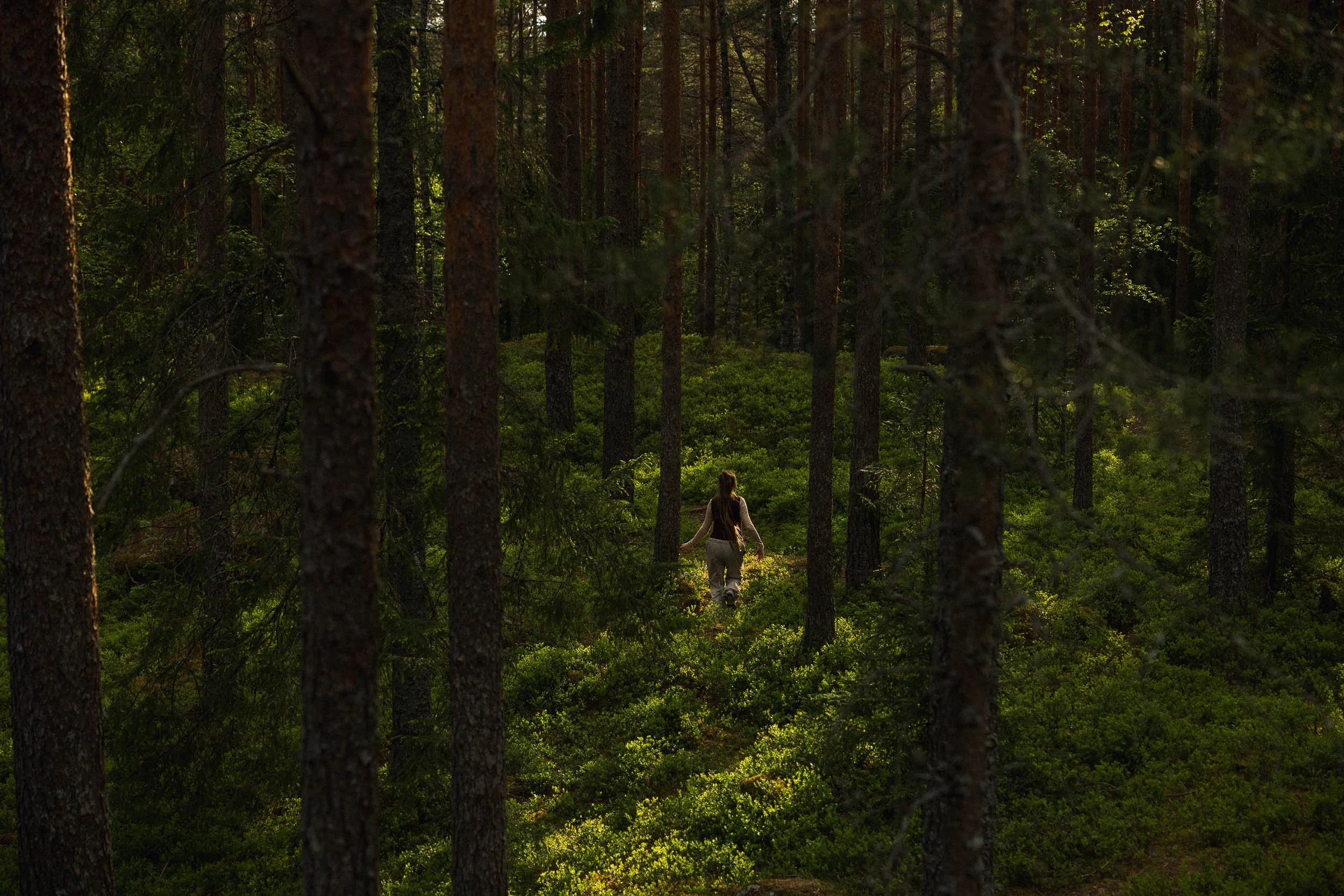 003_web_JohnnyVaetNordskog_VN_8197.jpg