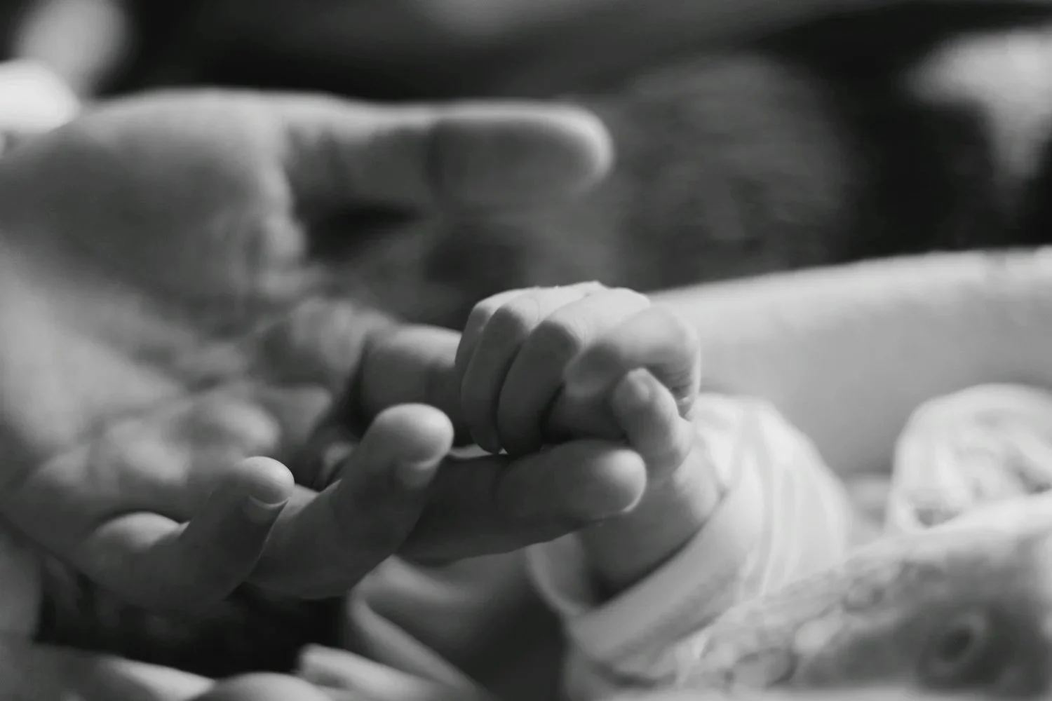 Close-up of a baby's small hand gripping an adult's finger in black and white.