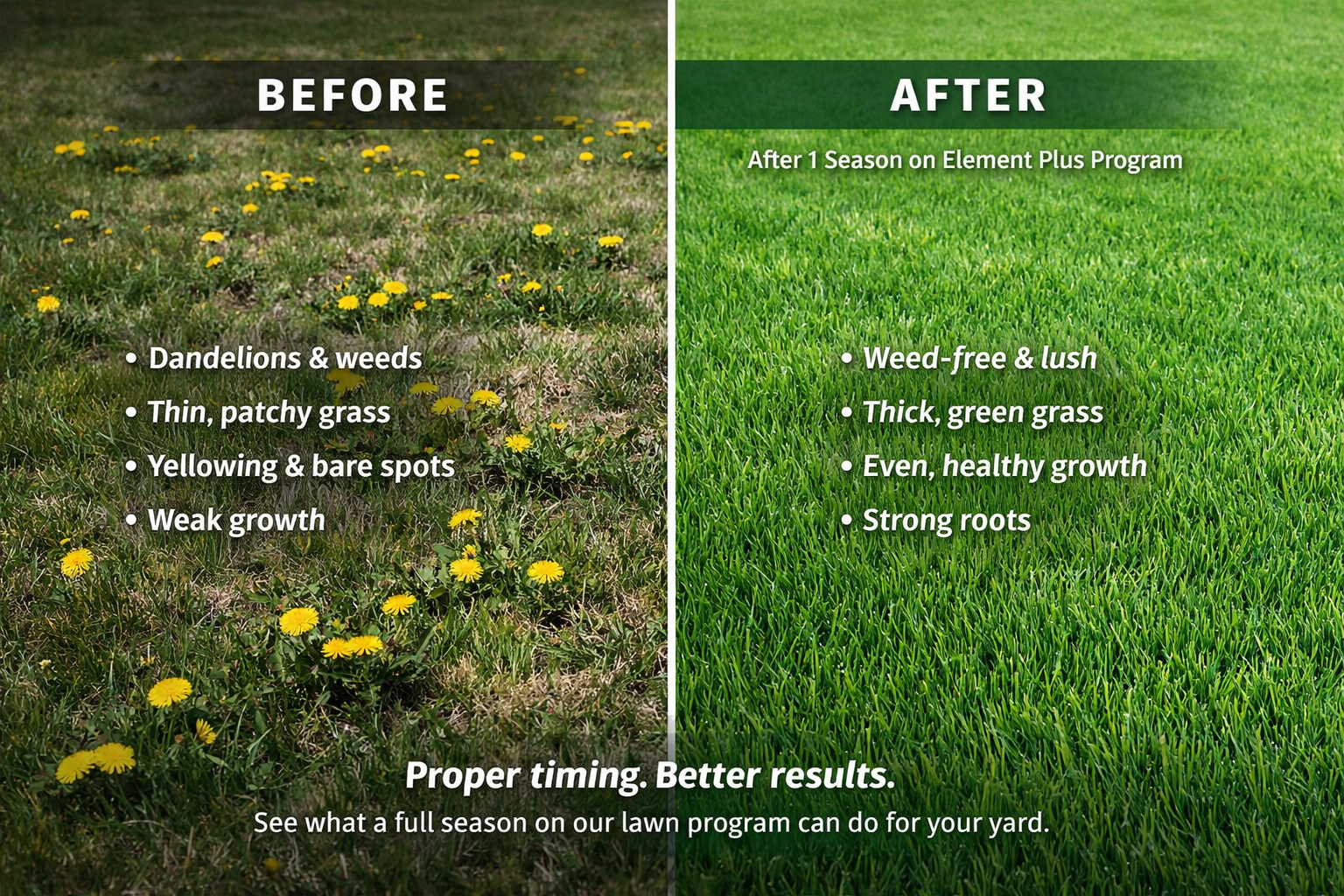 Edmonton Lawn Care Guide 2026: How to Get a Thick, Weed-Free Lawn This Season