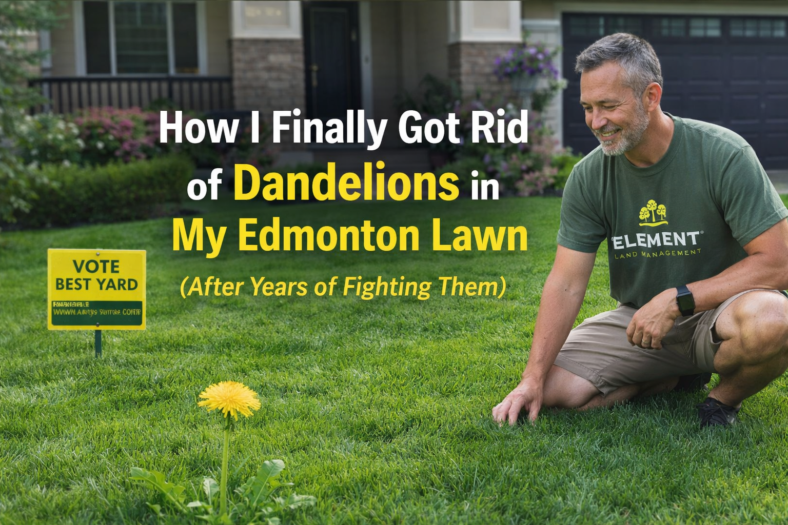 How I Finally Got Rid of Dandelions in My Edmonton Lawn (After Years of Fighting Them)