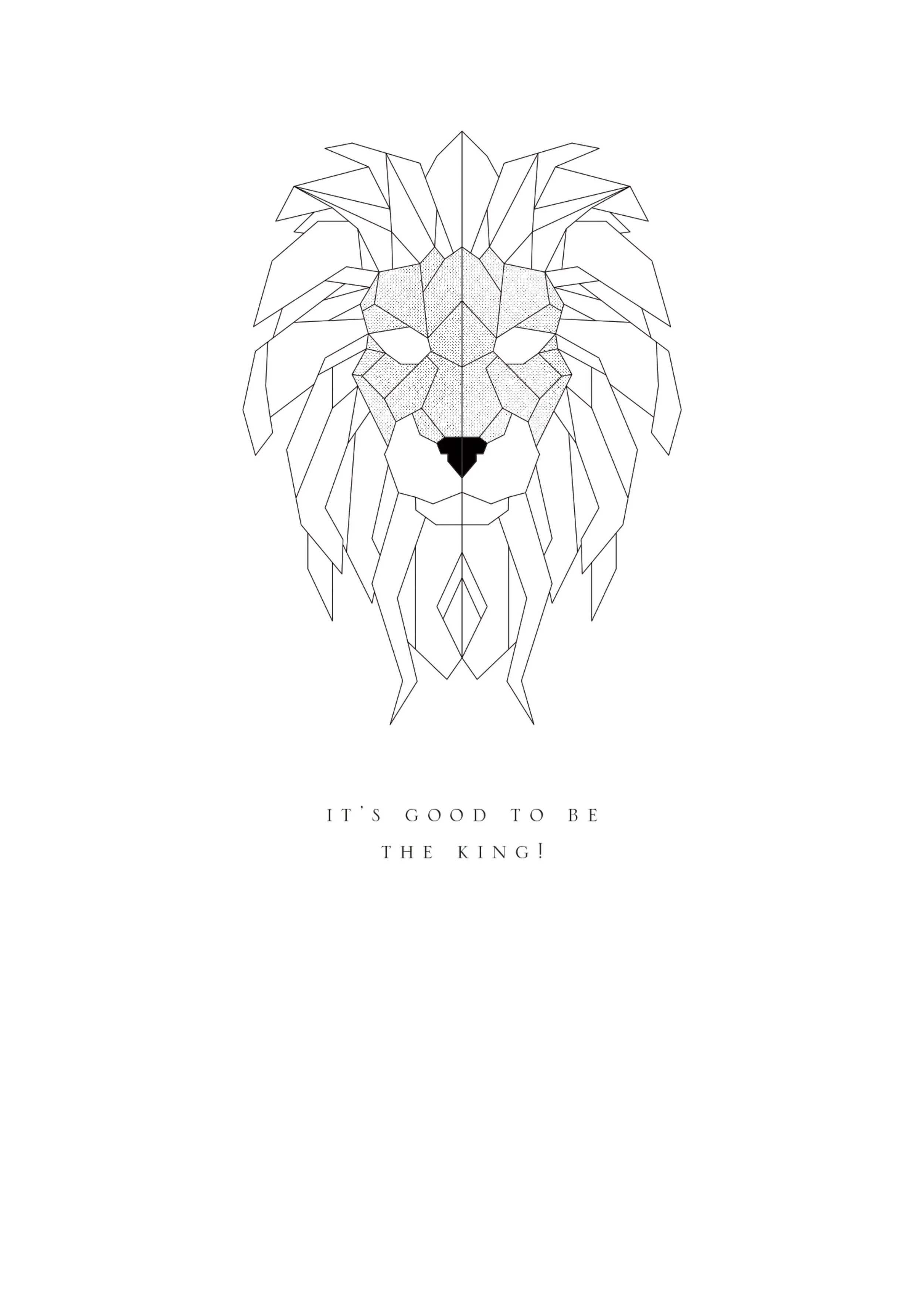 72_lion_1.jpg