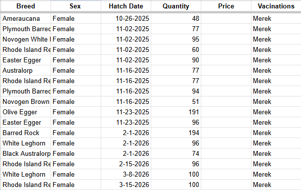 Our List of chickens chicks pullets laying hens for sale in Tennessee.