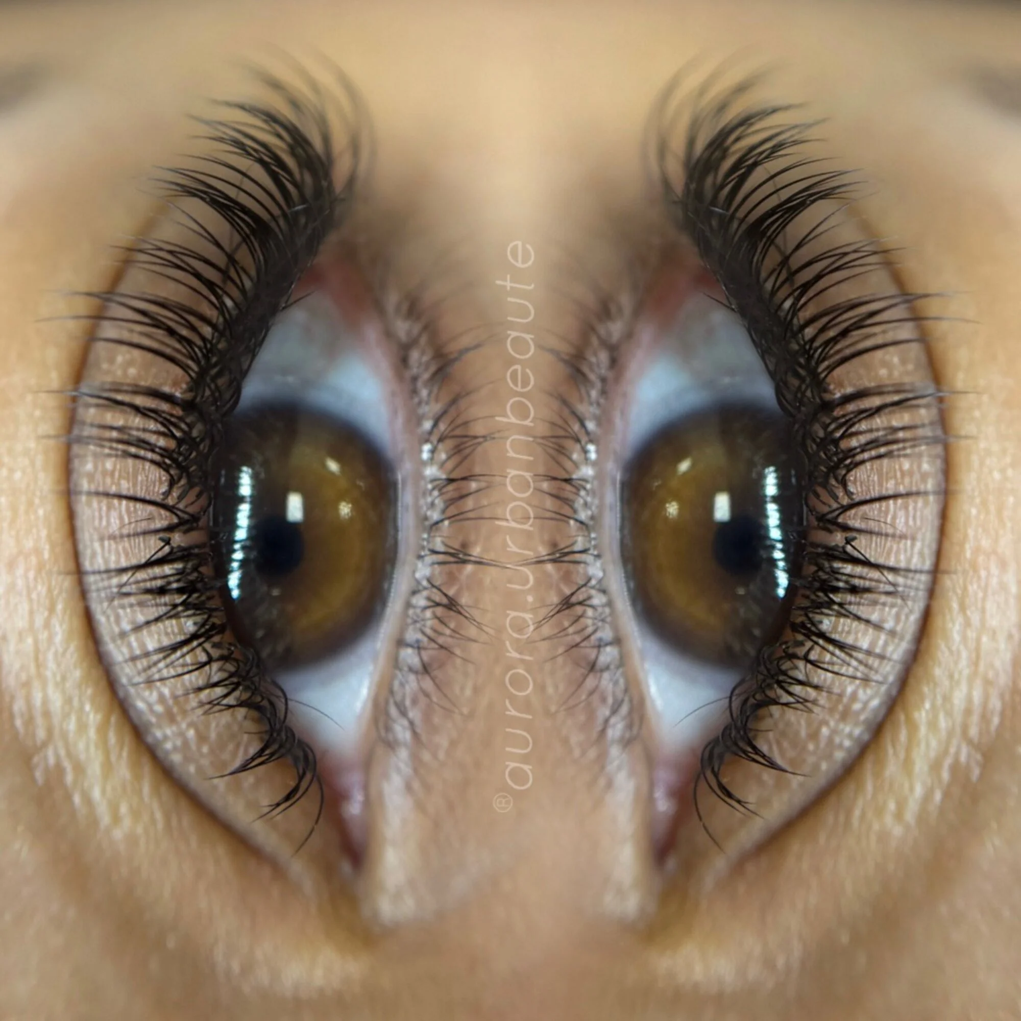 Aurora - Lash Extensions 15.jpg