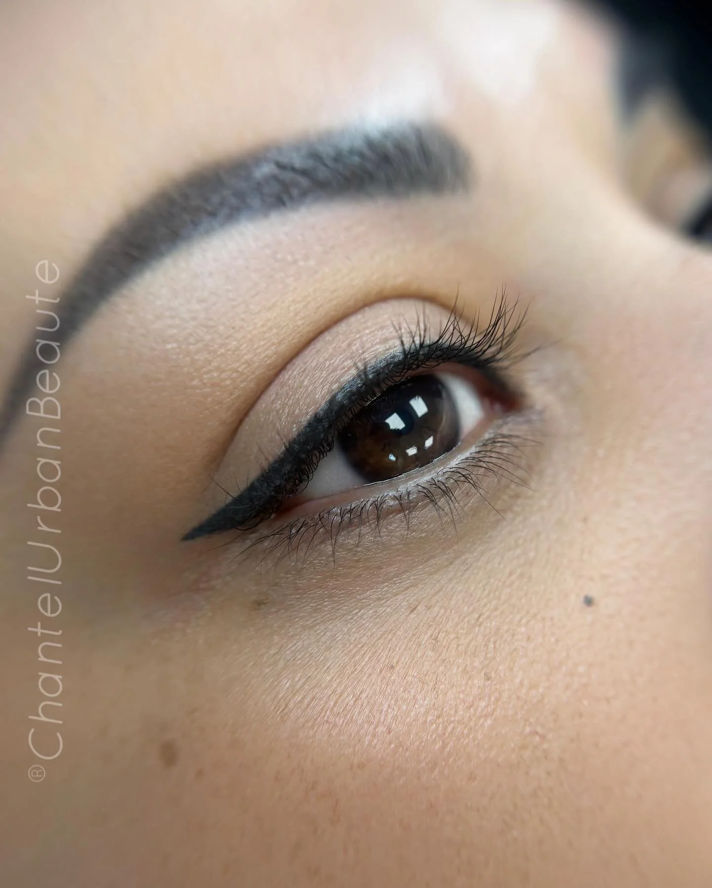 Healed eyeliner, experience a stress free morning routine with already done eyeliner to perfection. 

You&rsquo;ll never have to worry about putting makeup on again and trying to get your eyeliner even. Wake up looking refreshed every day to tackle t